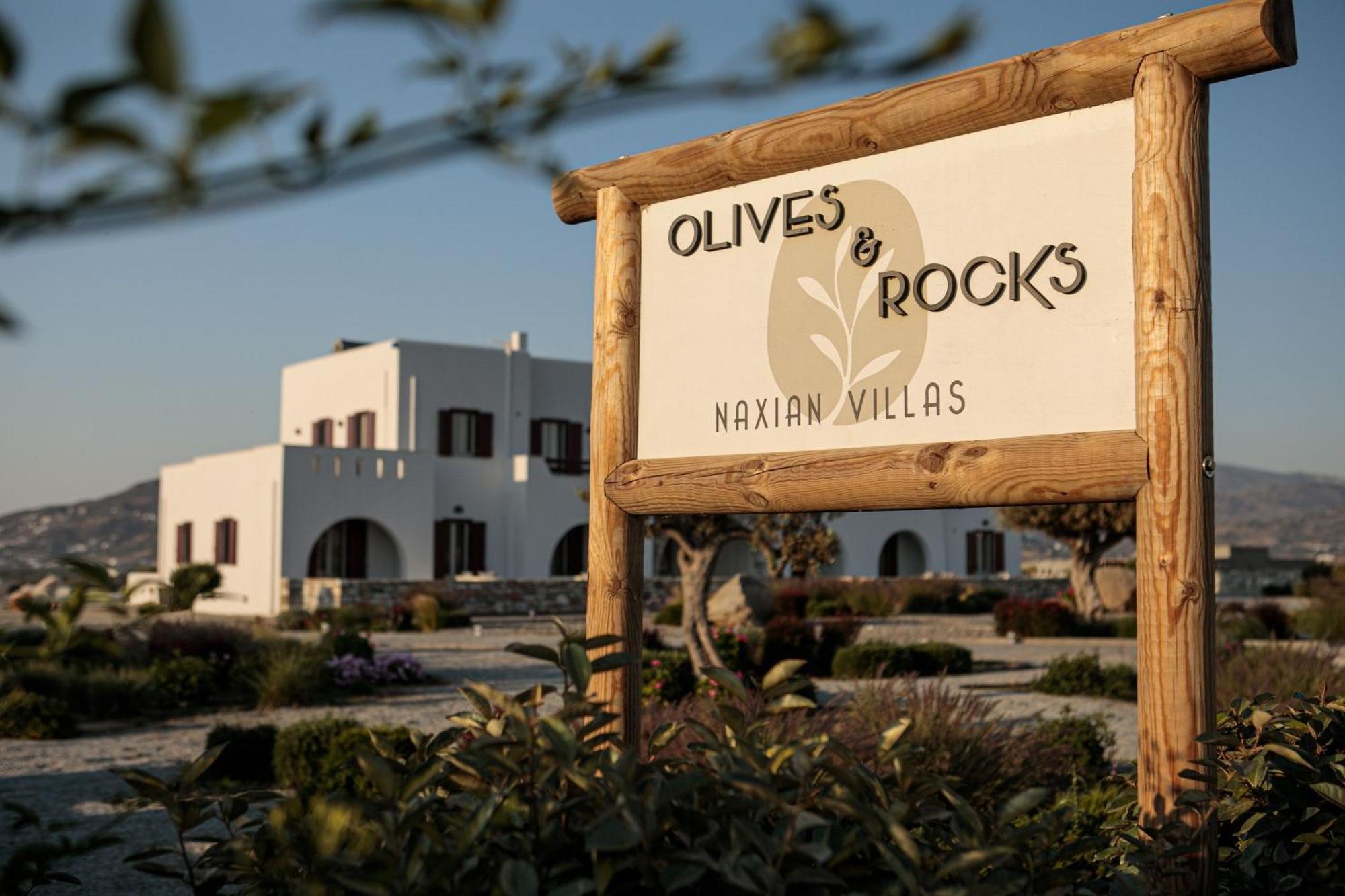 Olives Rocks Naxian
