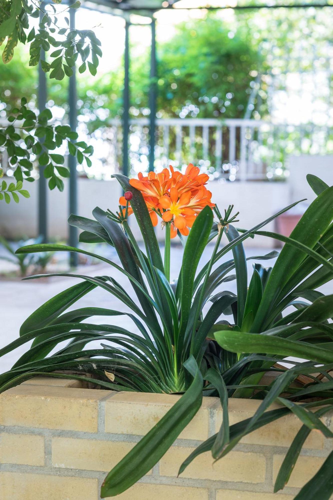 Glyfada's Cosy Athens