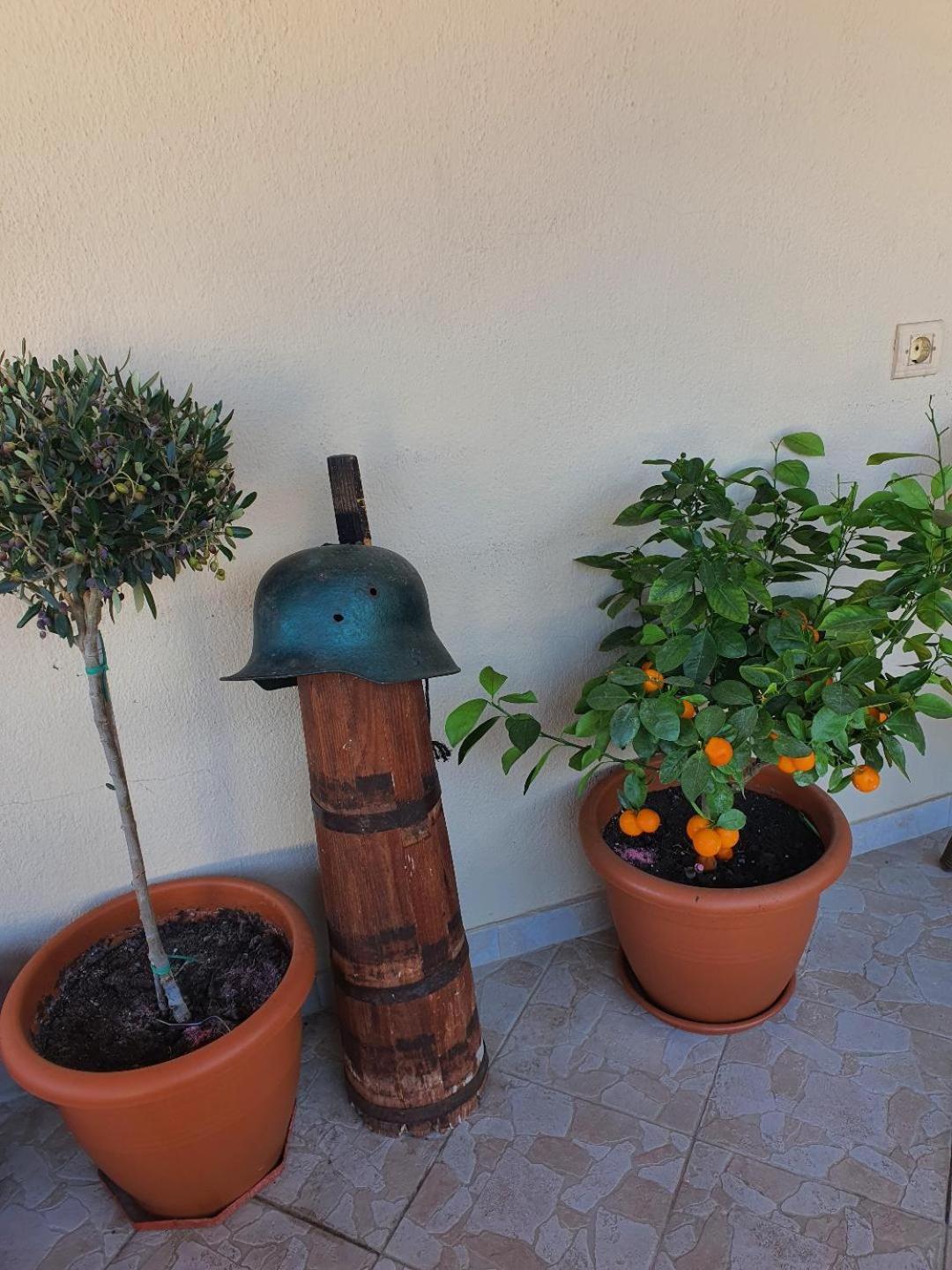 Alexandros Guest house