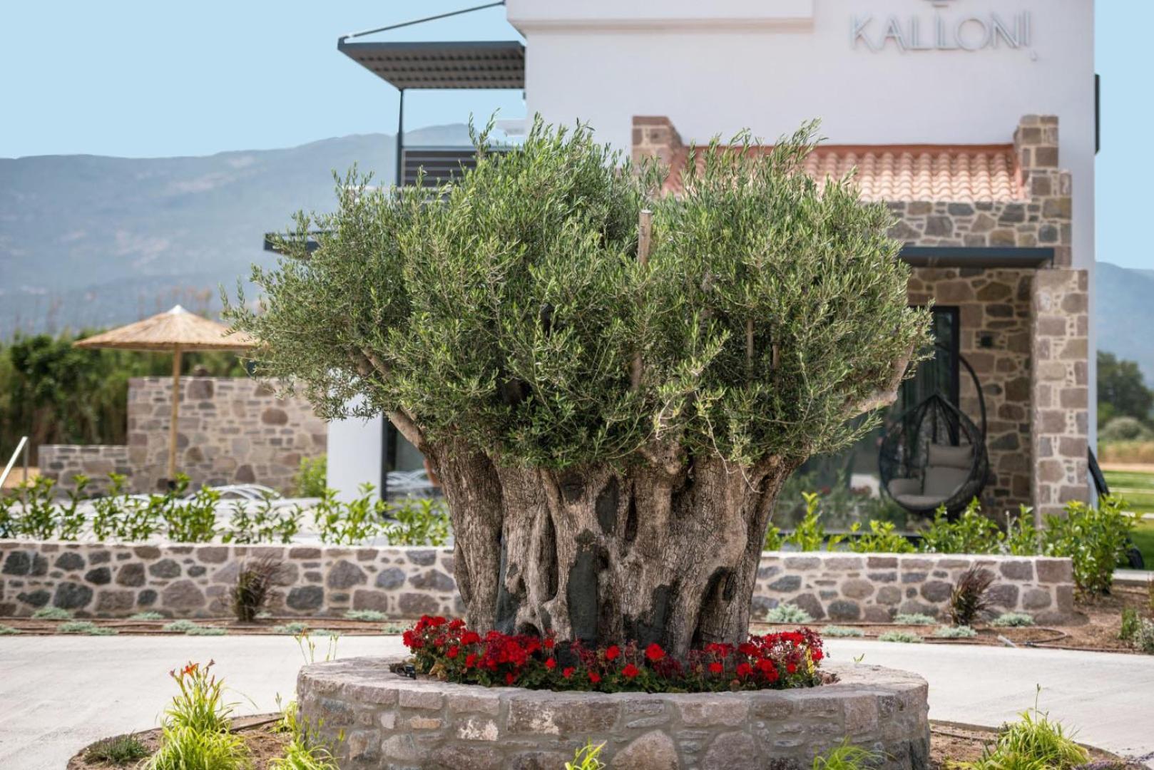 Aparthotel Kalloni Sunset Lesvos
