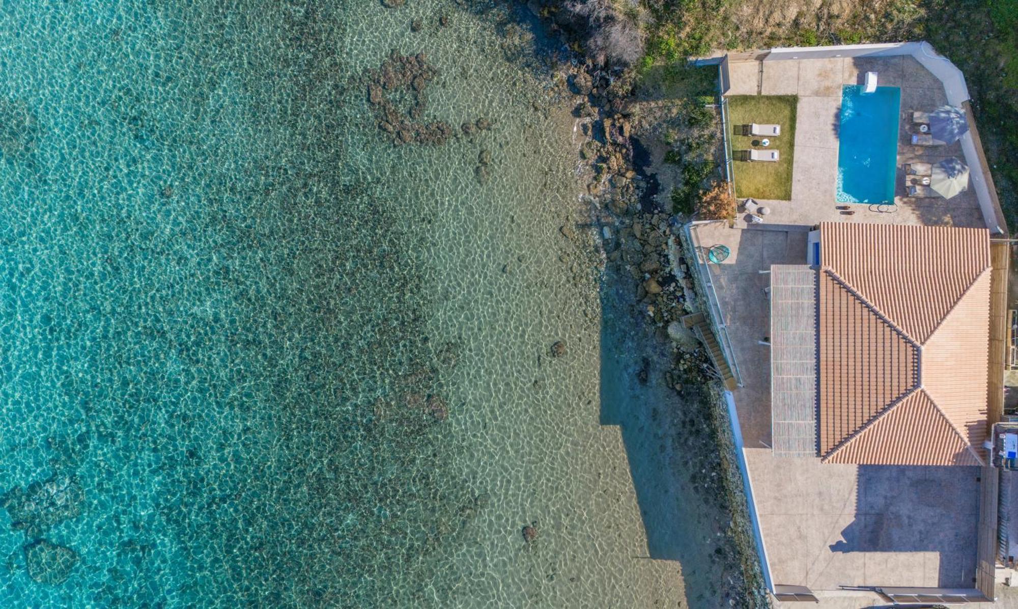 Astarte Bleu Del Mar *