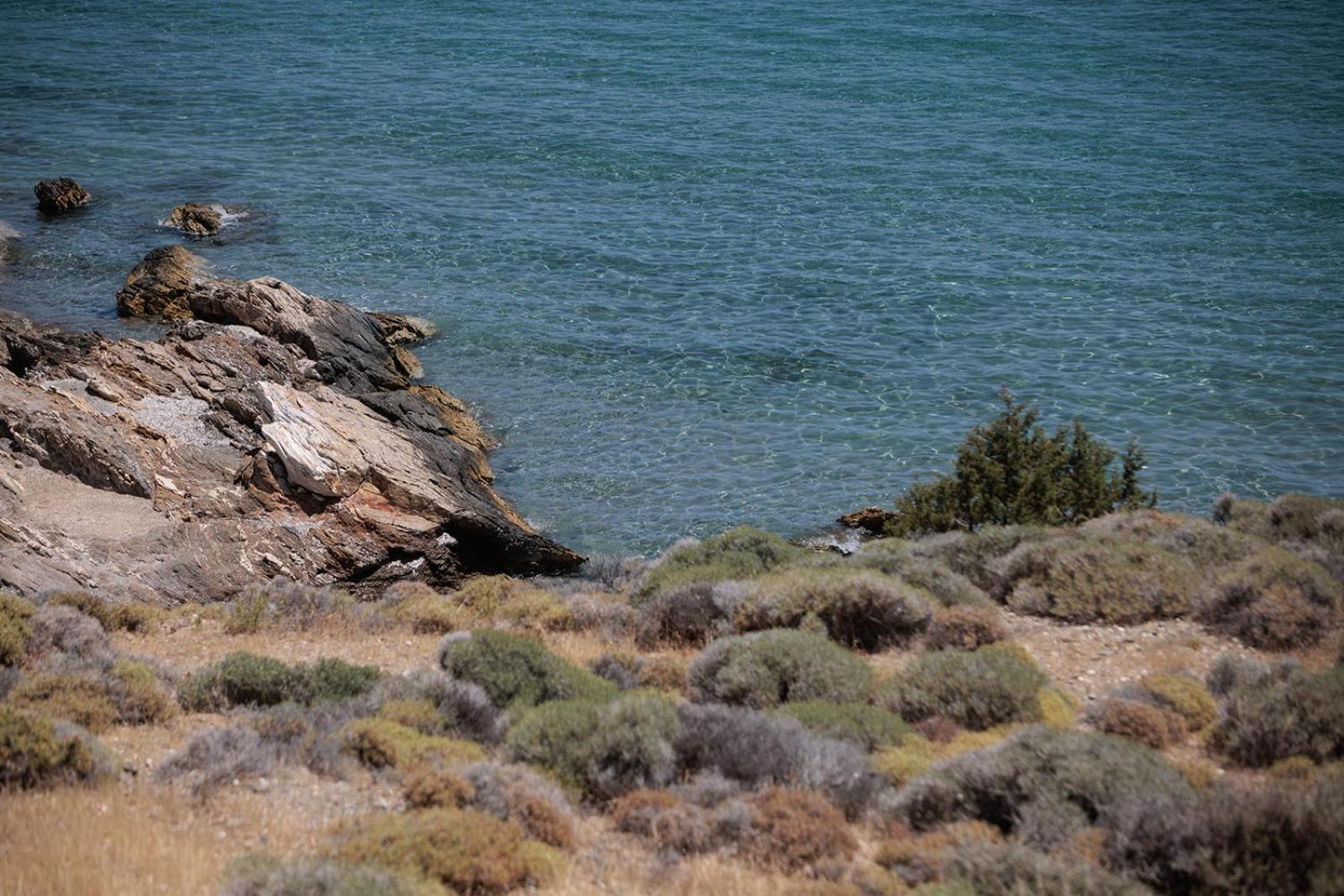 Country house Evdokia - Luxury Olive Yard With Aegean View Moutsouna