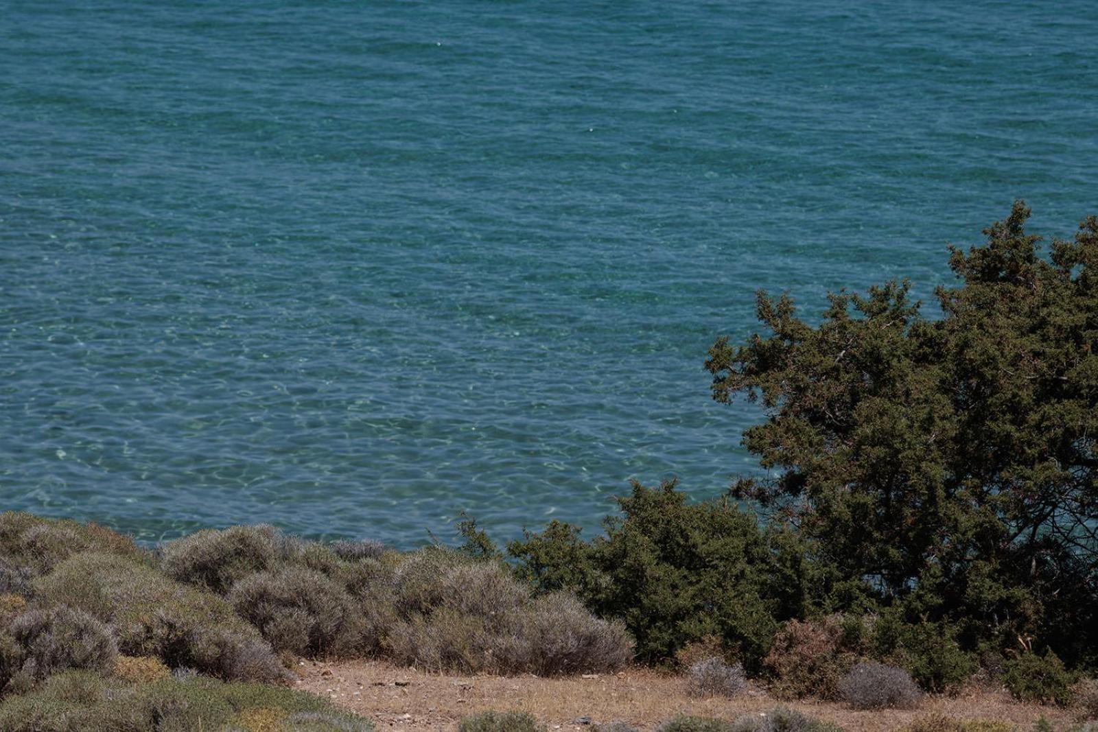 Evdokia - Luxury Olive Yard With Aegean View