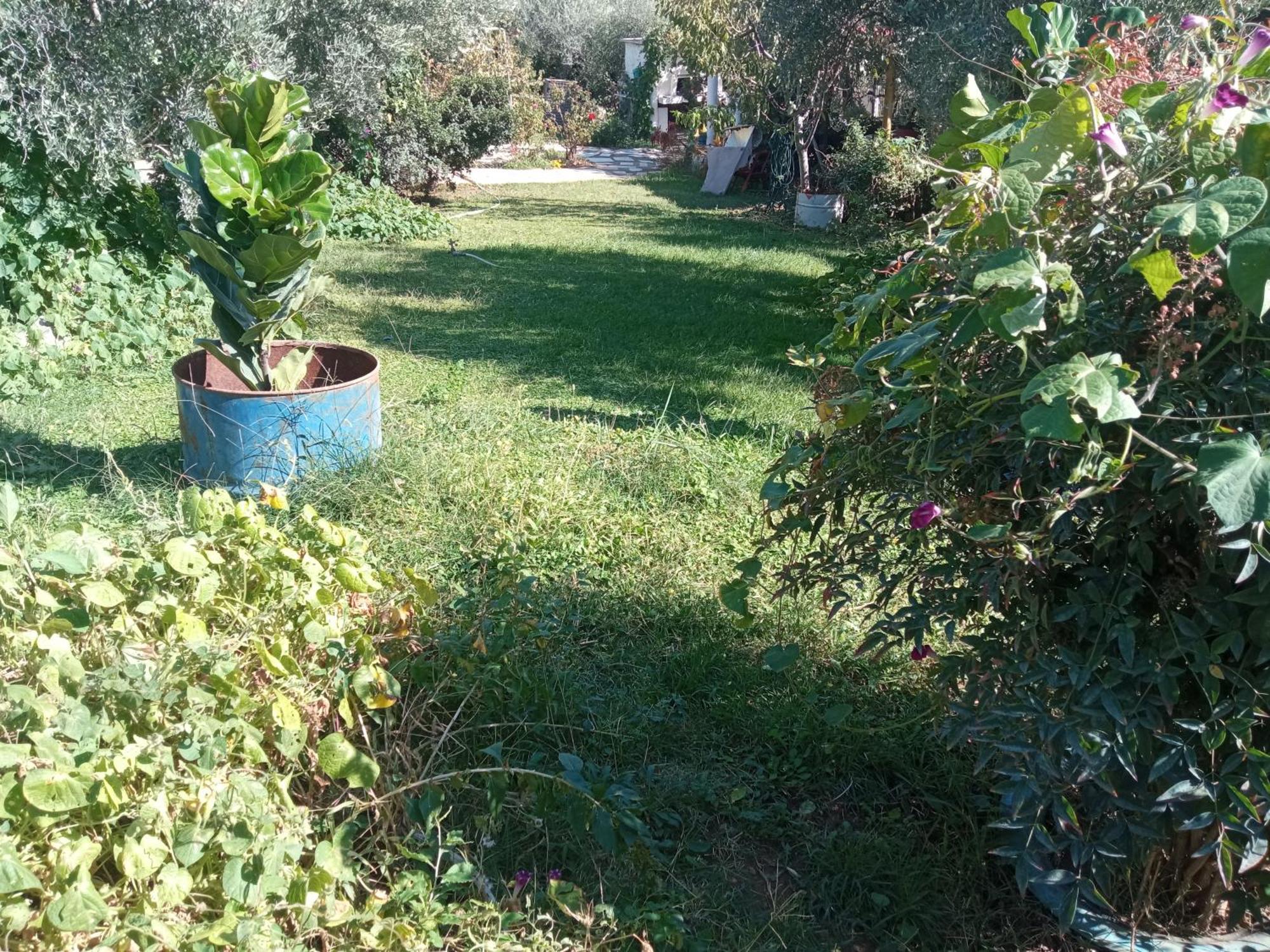 Bella-caza Makri