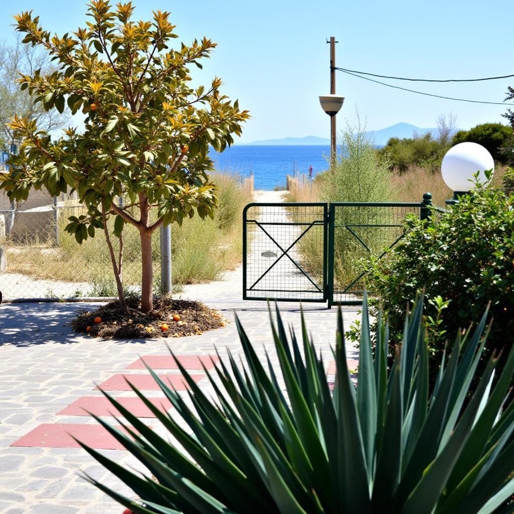 Holiday home Siesta Gr *