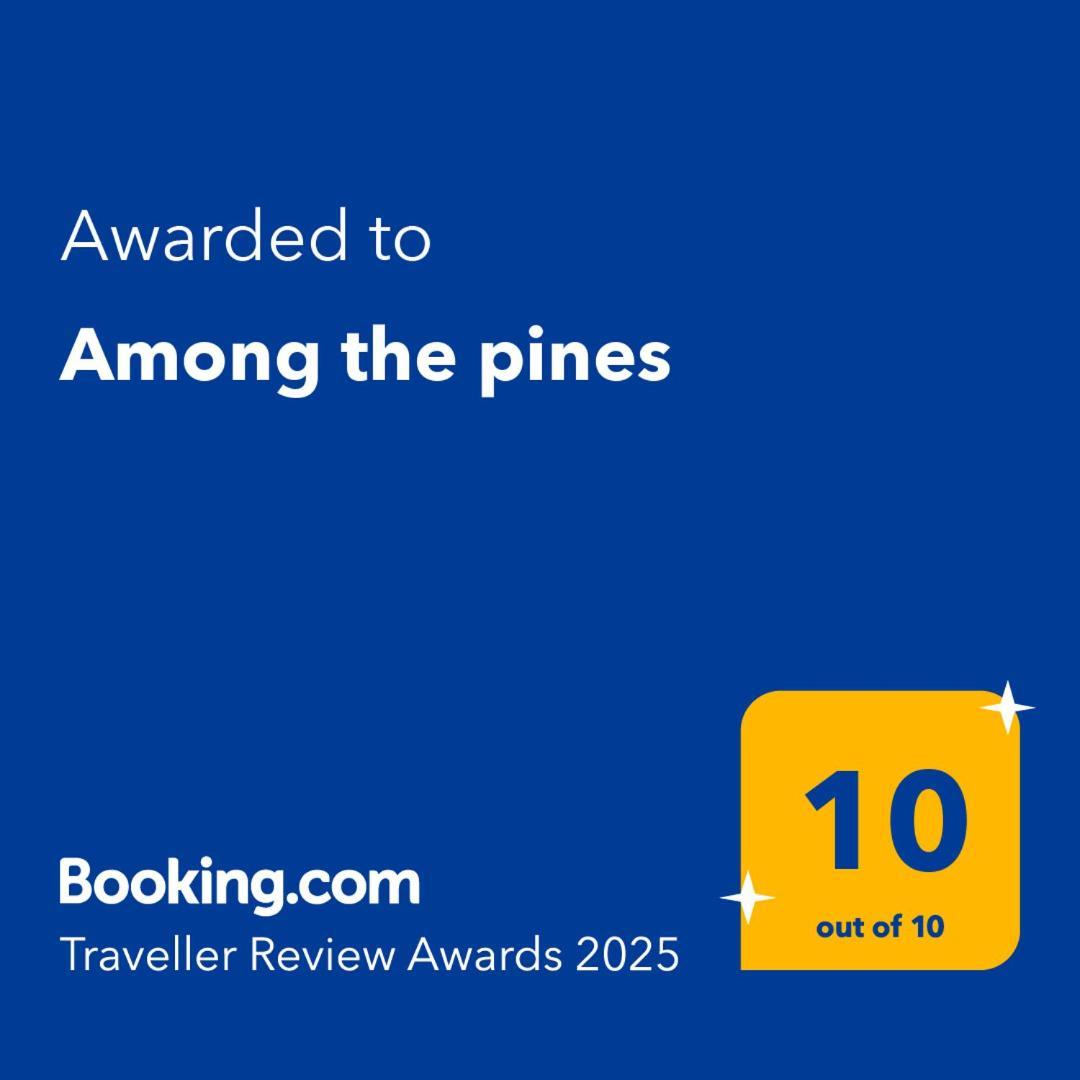 Among The Pines Holiday home Katakolo