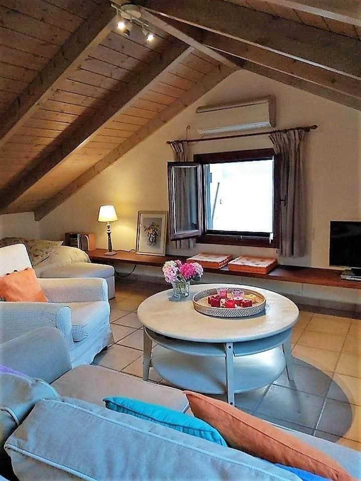 Apartment Cavos - Loft In Assos With Amazing View Asos