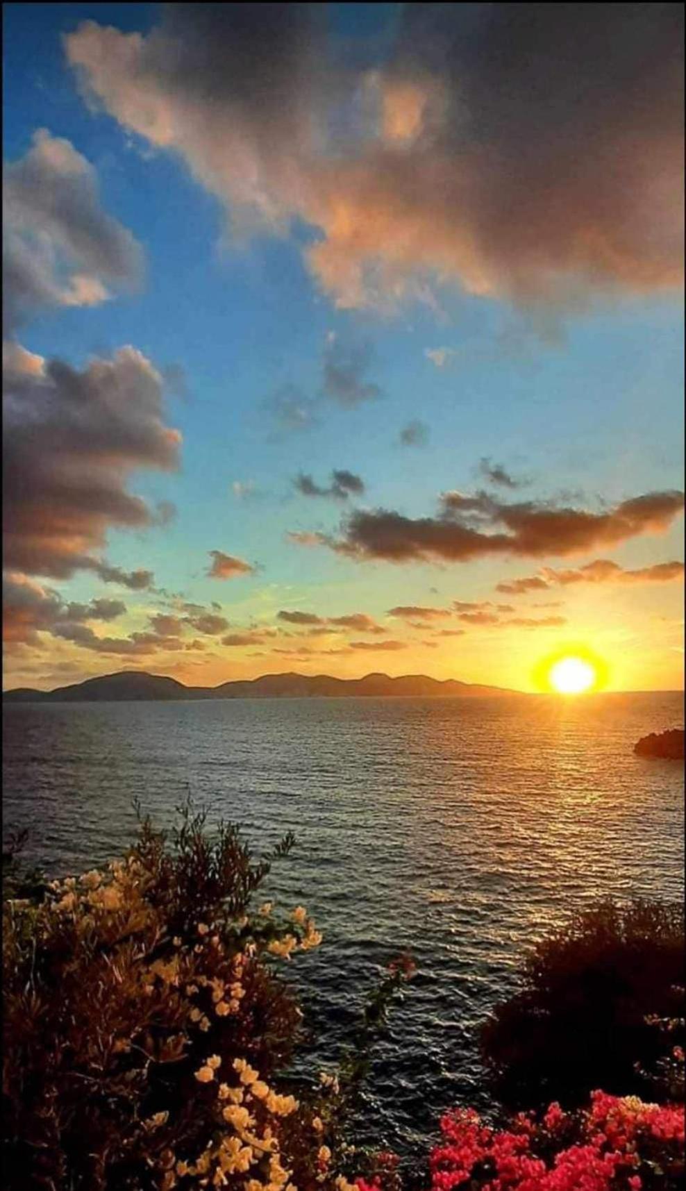 Apartment Cavos - Loft In Assos With Amazing View Asos
