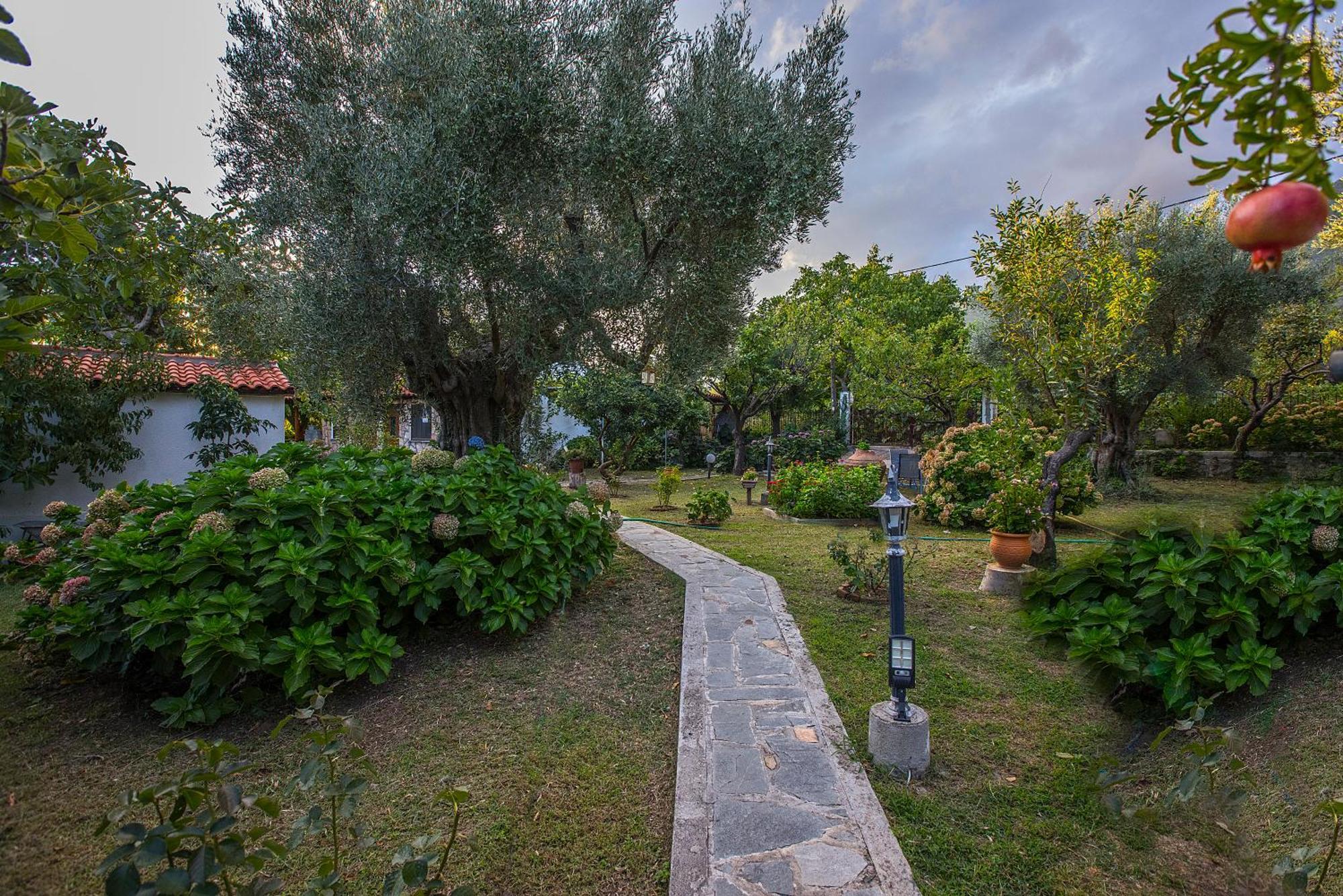 Hotel Alekas Therma (Samothraki)