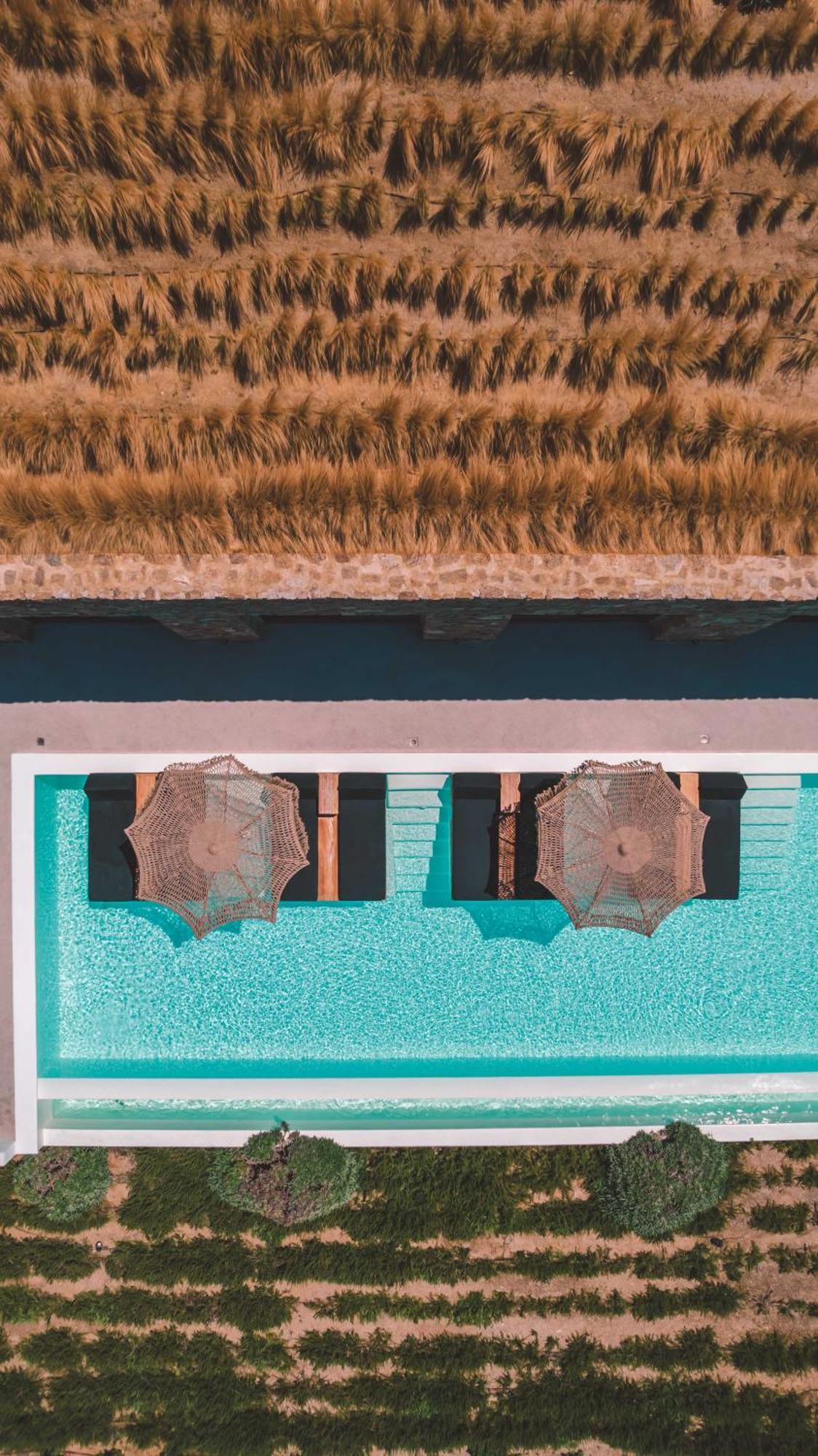 Aora Ftelia Mykonos