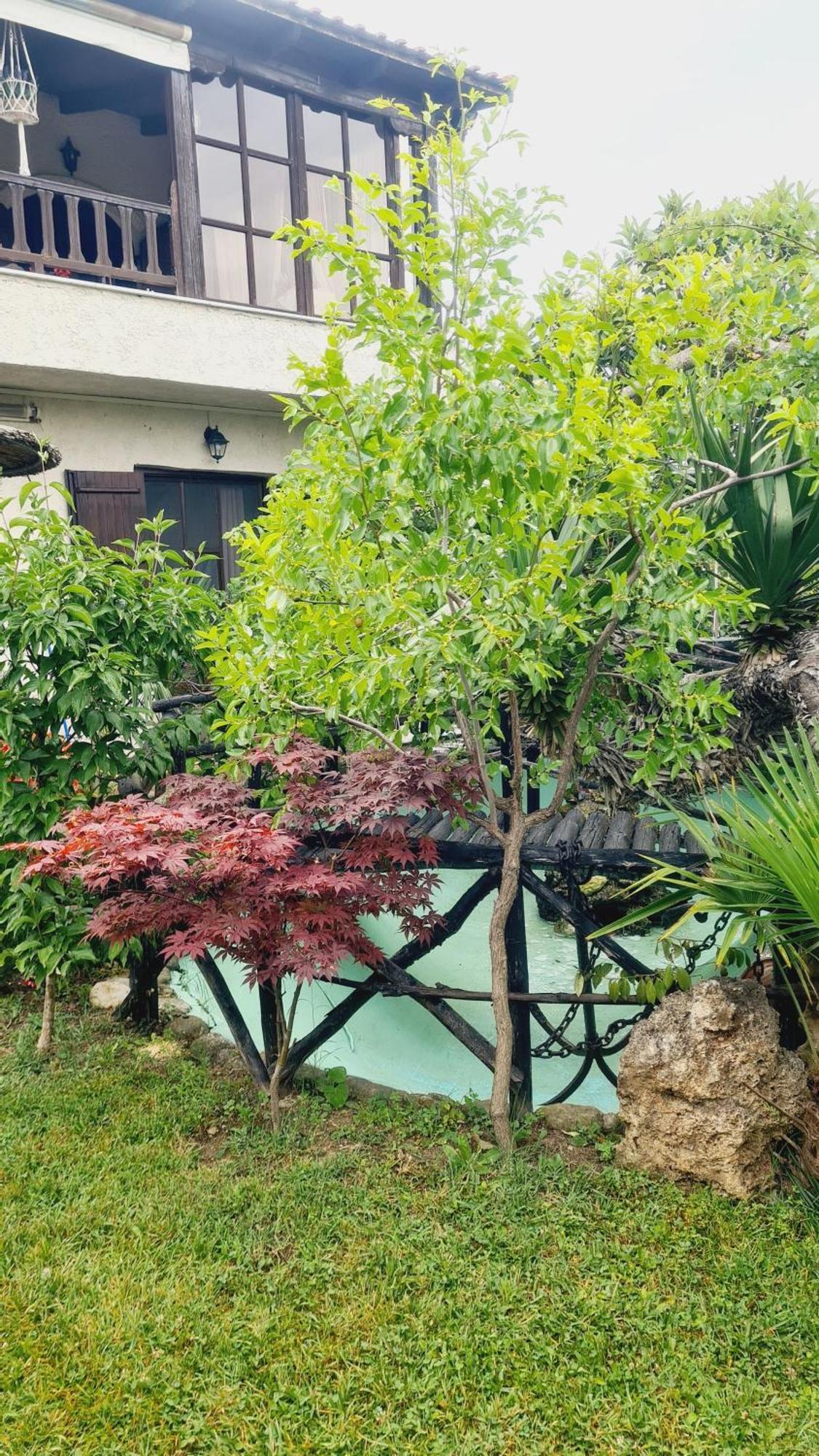 Casa Del Mare * Paralia Katerinis
