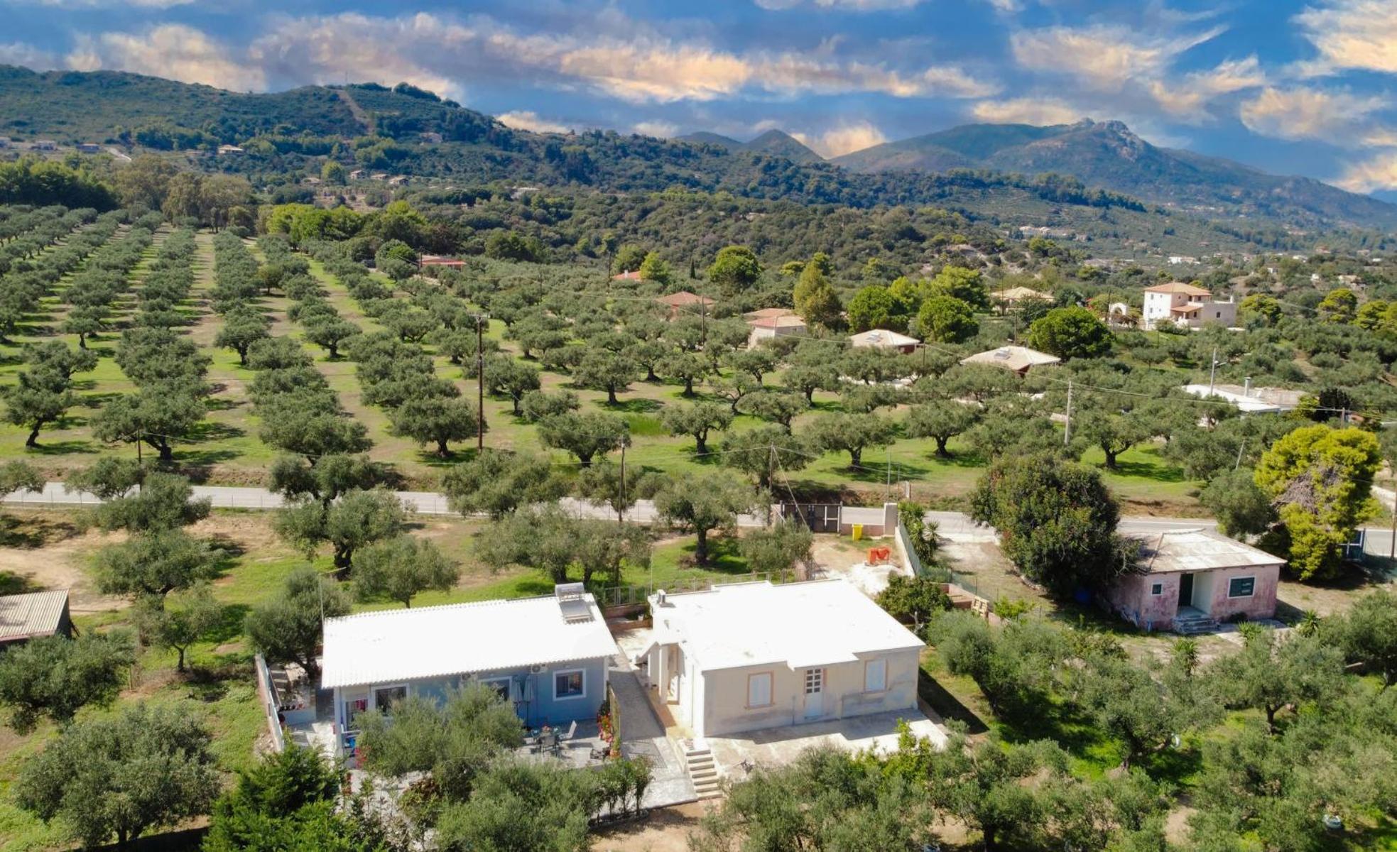 Il Mio Riposo Vasilikos (Zakynthos)