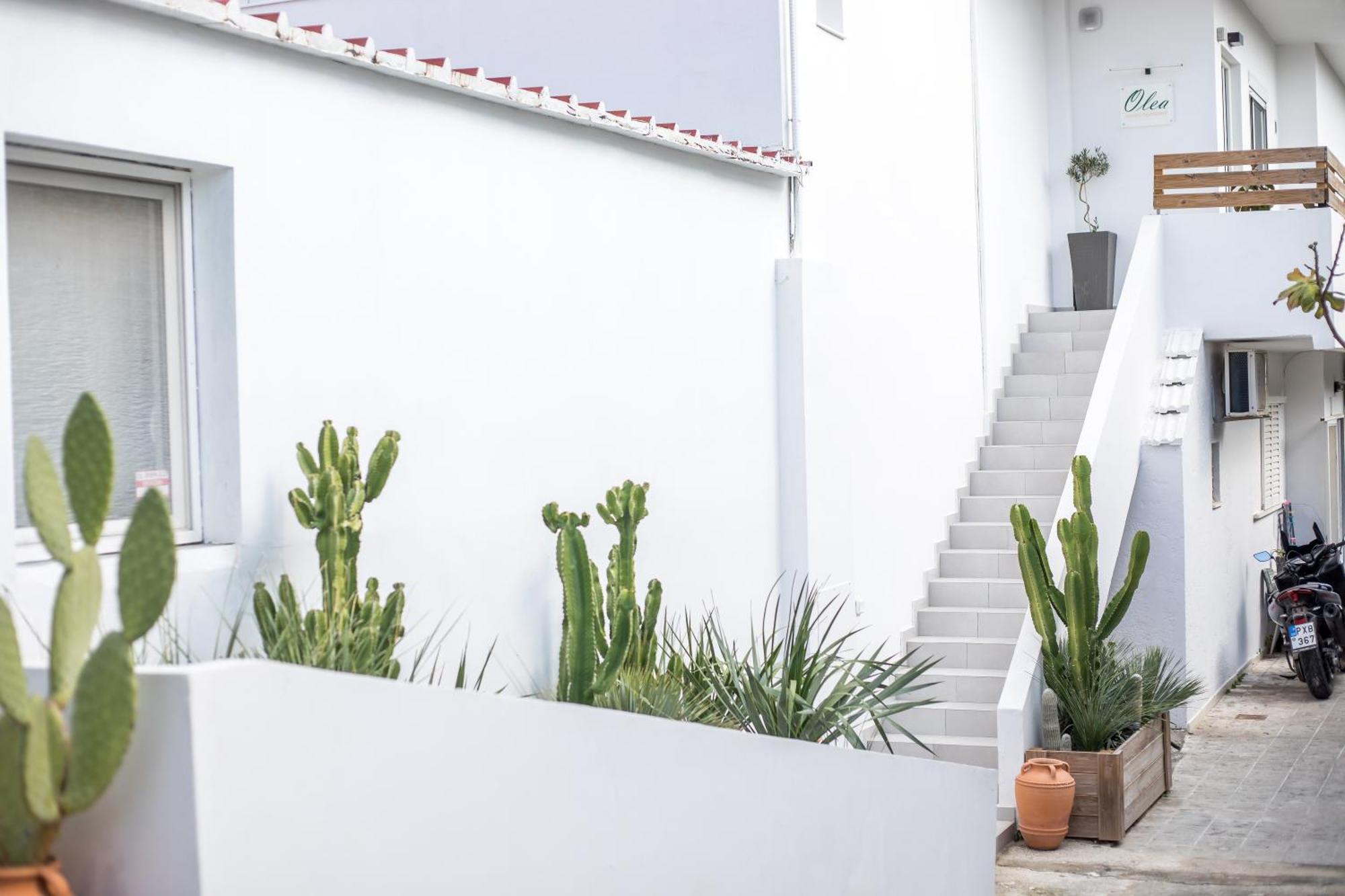 Apartment Olea Luxury Afantou