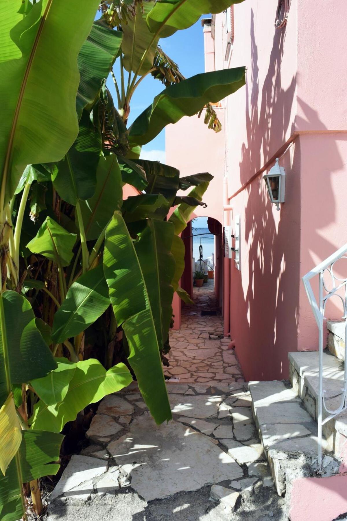 Diana Beachfront Vacation Holiday home *