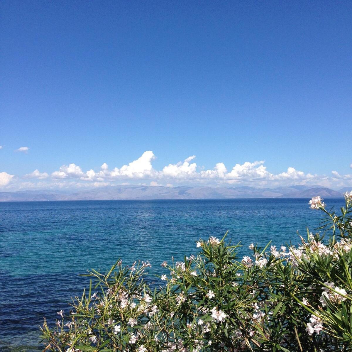 Diana Beachfront Vacation Holiday home Kato Spilaion