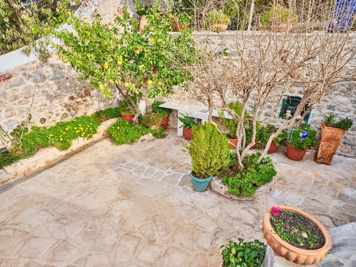 Luxurious Vasiliki With Great View Villa