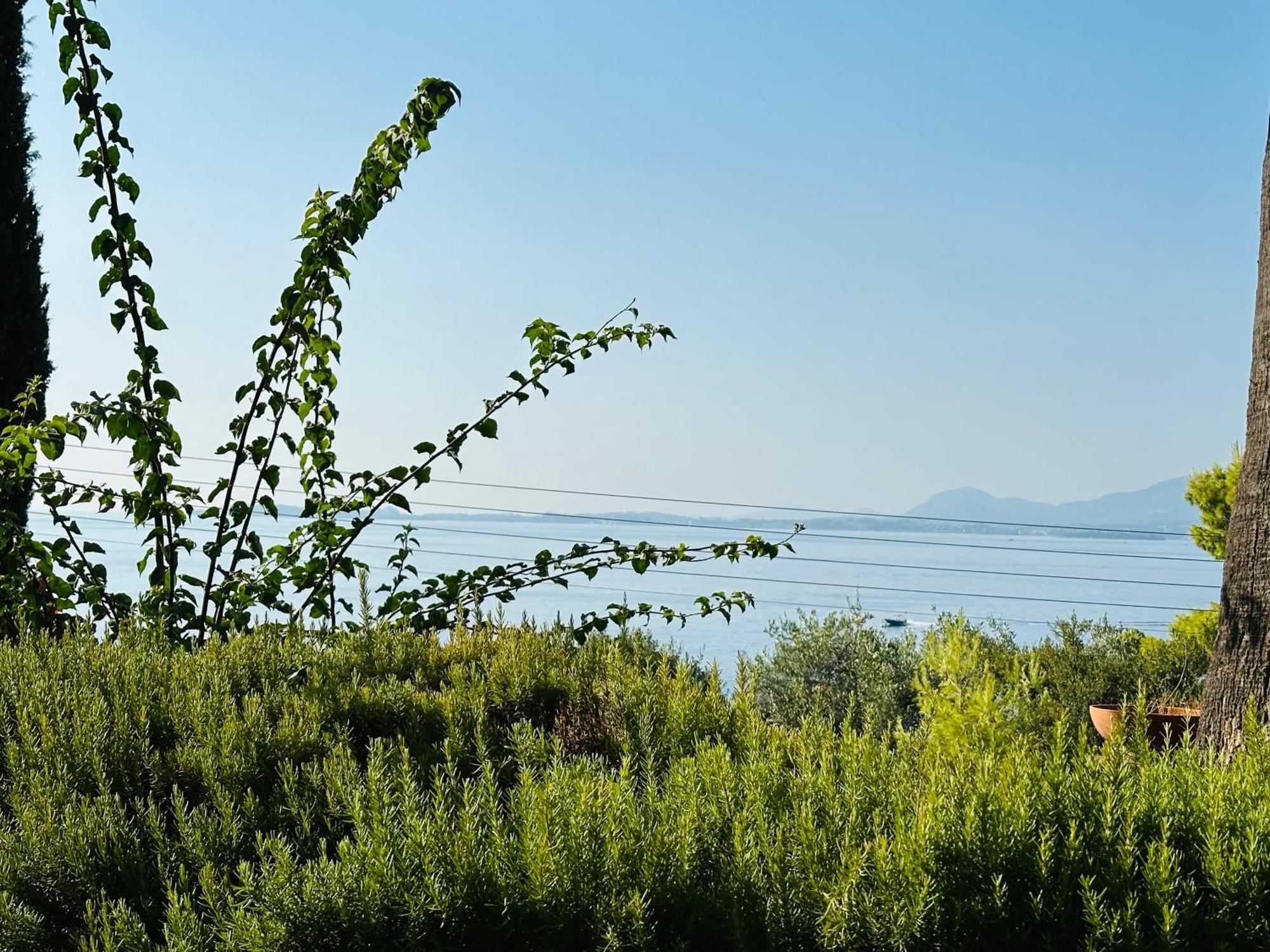 View * Barbati