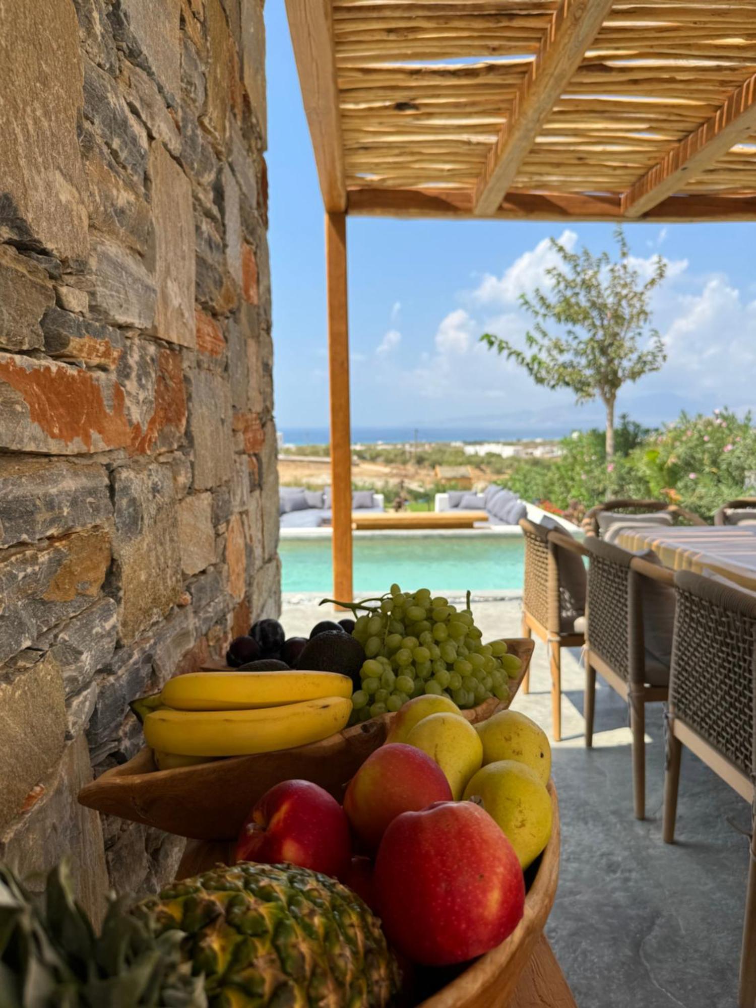 Villa Mikri Vigla With Private Swimming Pool