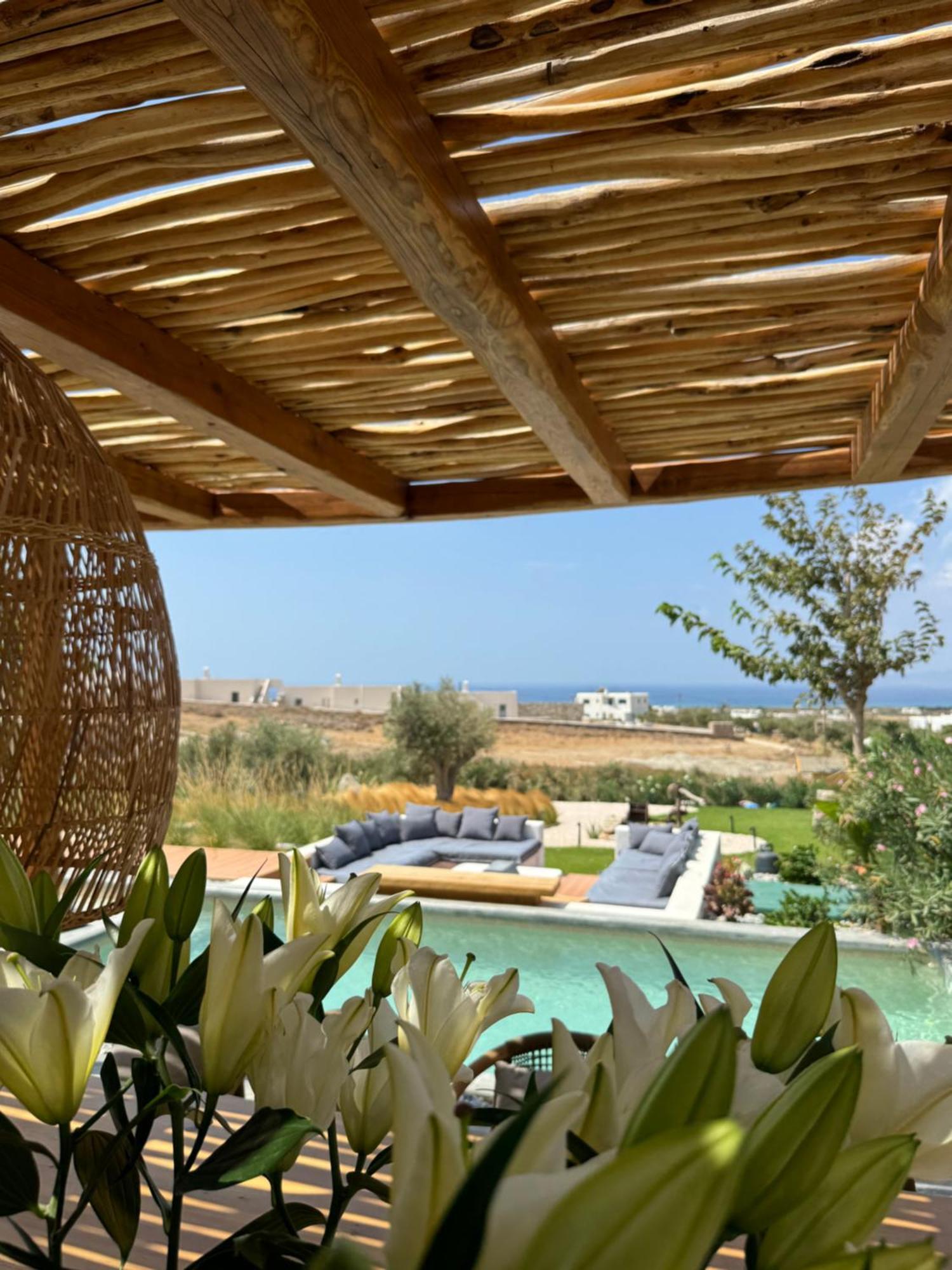 Villa Mikri Vigla With Private Swimming Pool *