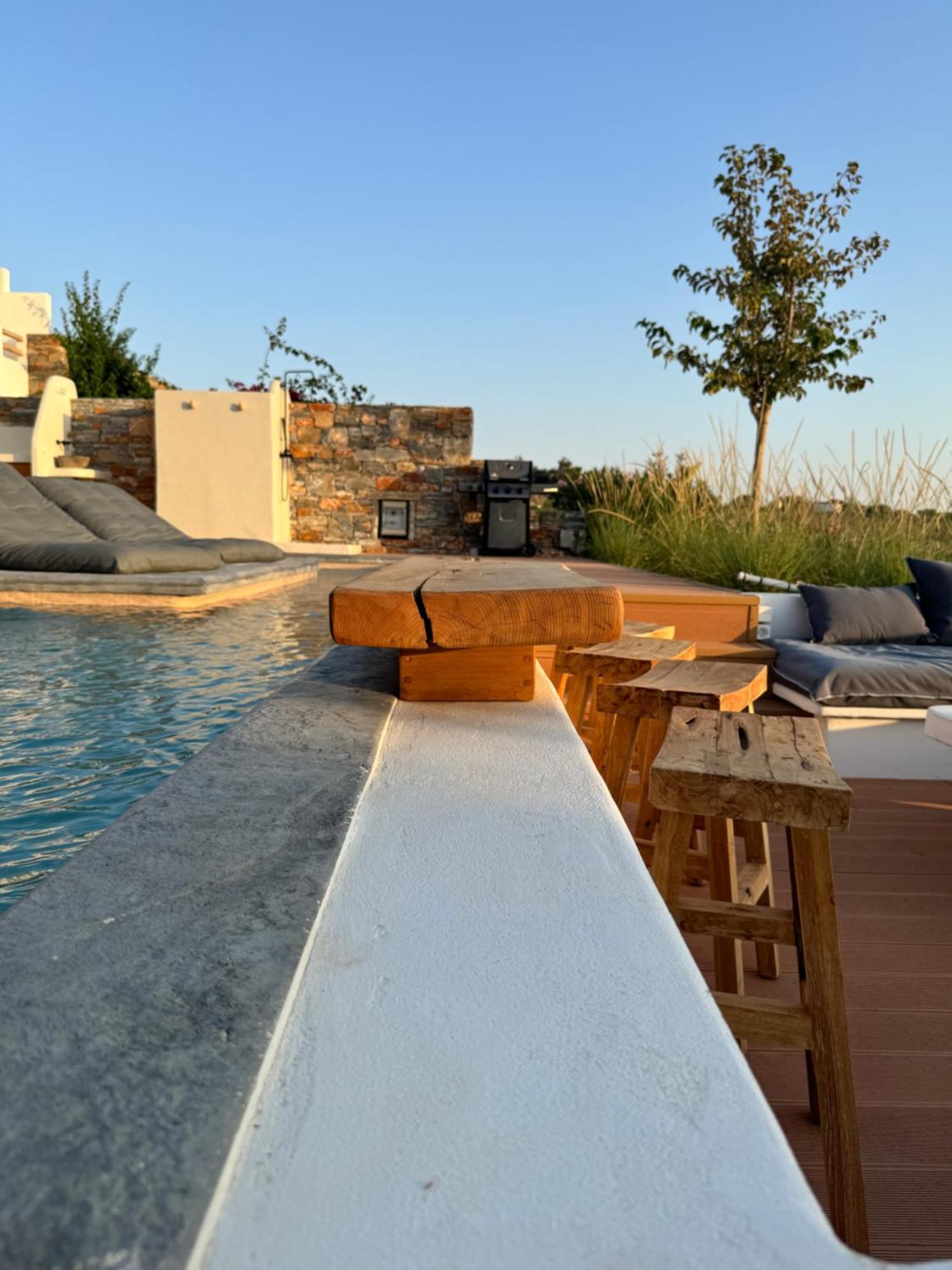 Villa Mikri Vigla With Private Swimming Pool