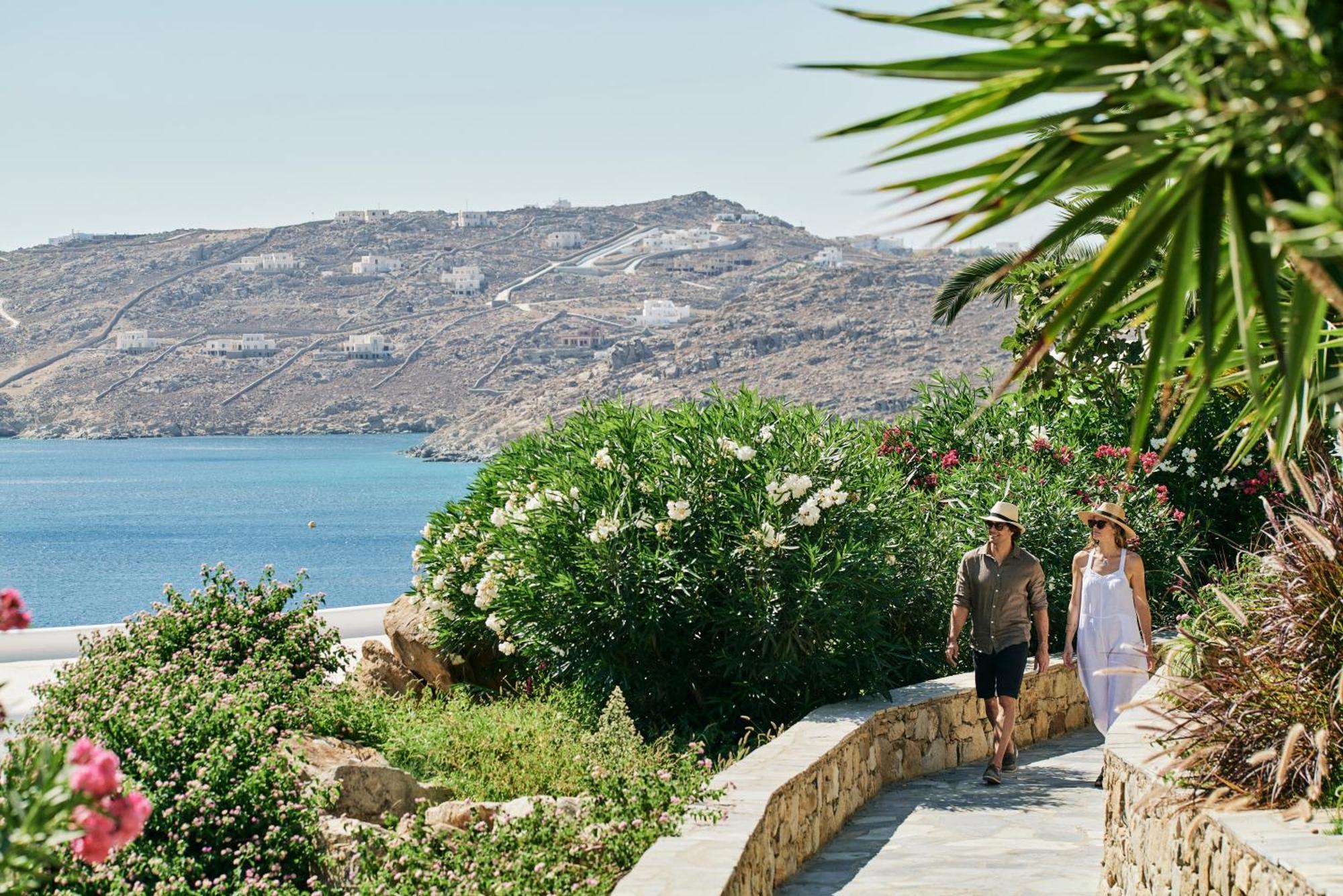 Myconian Imperial - Leading Of The World Elia (Mykonos)