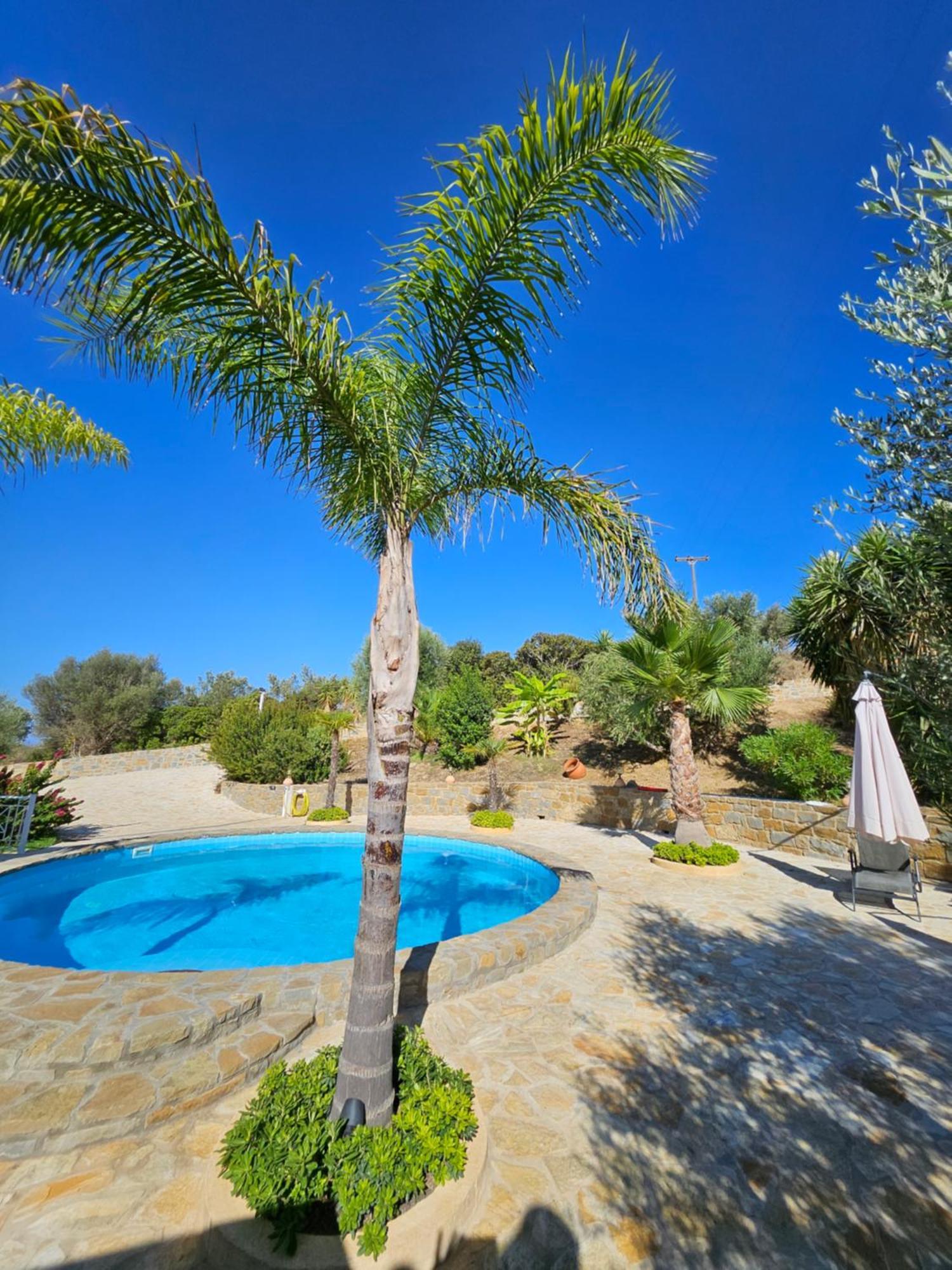 Holiday home Vrisoules Poolvilla *