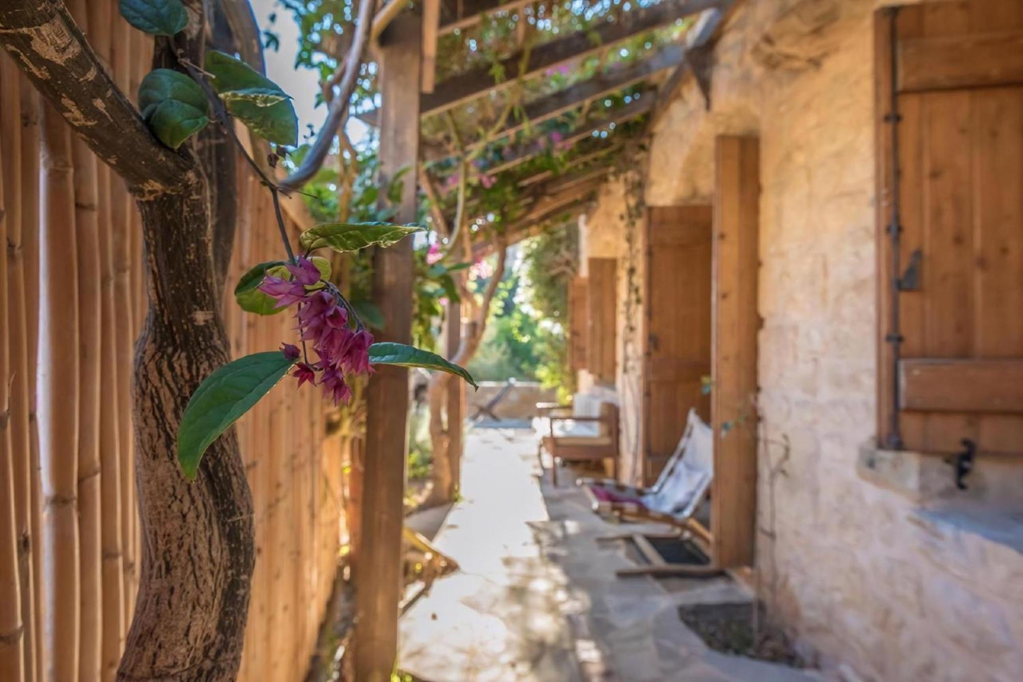 Holiday home Spiti Papaya Tertsa
