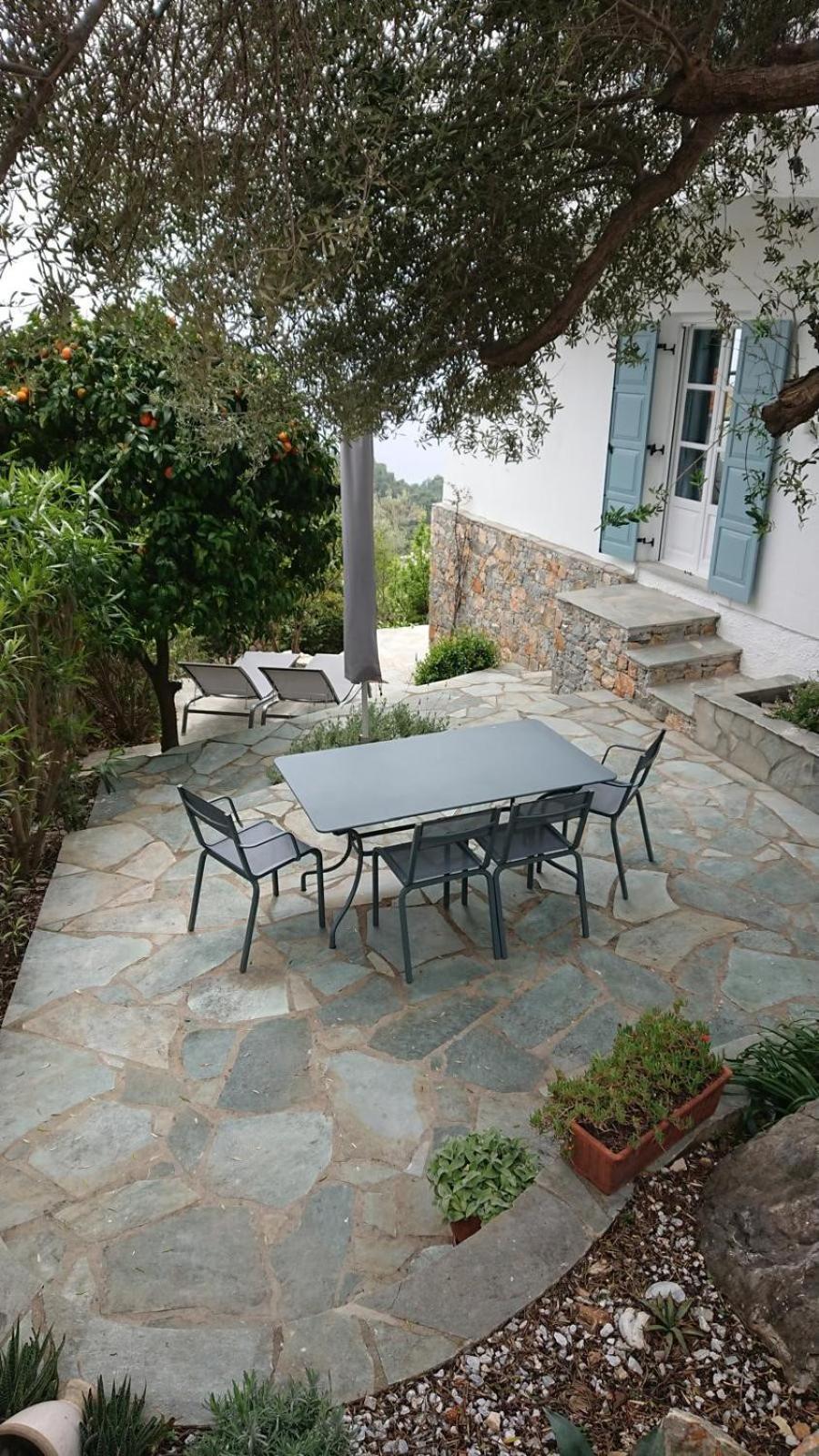 Olive Tree House *