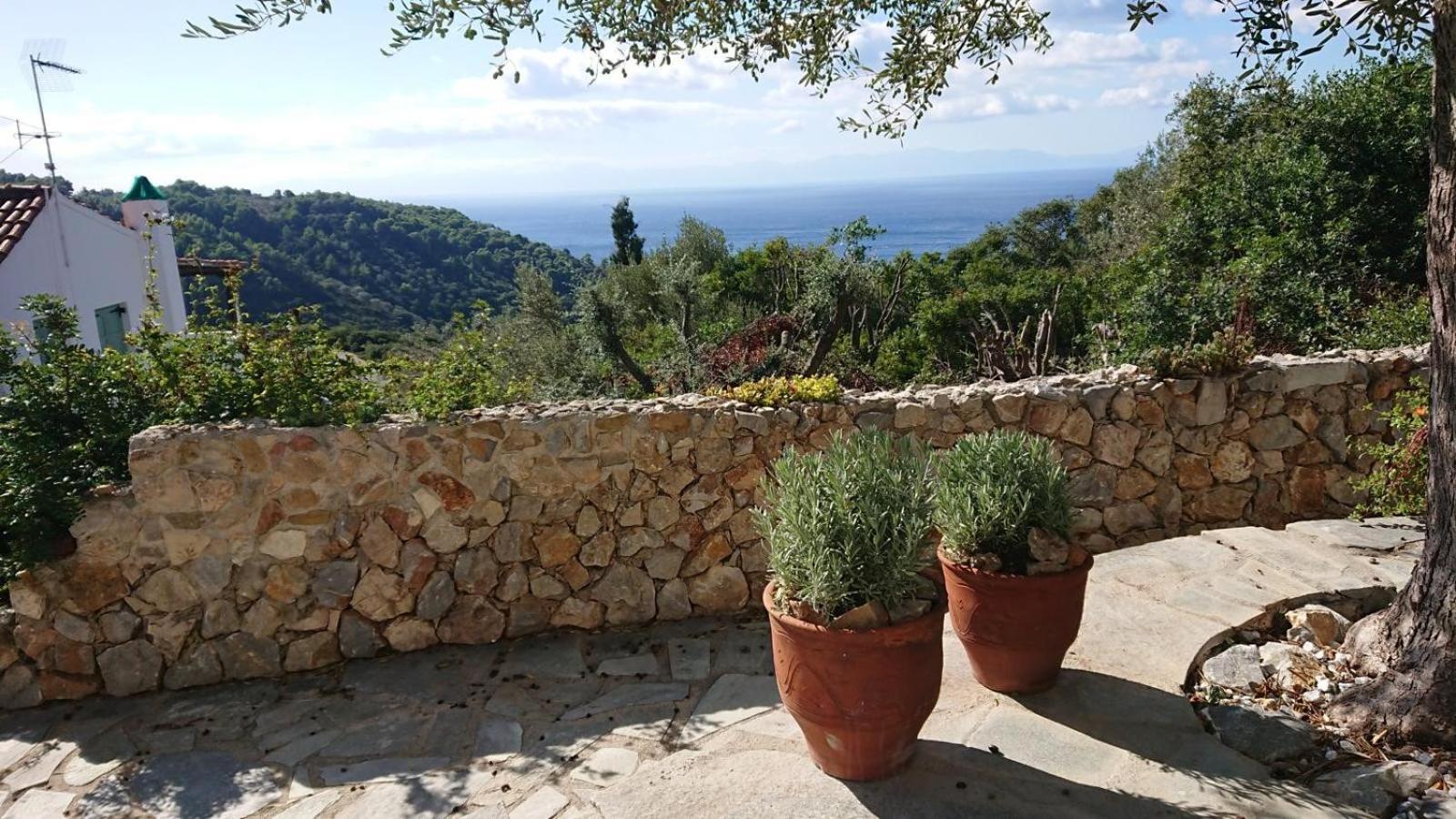 Olive Tree House Alonnisos Town