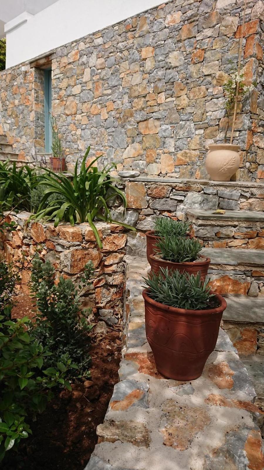Olive Tree House Villa