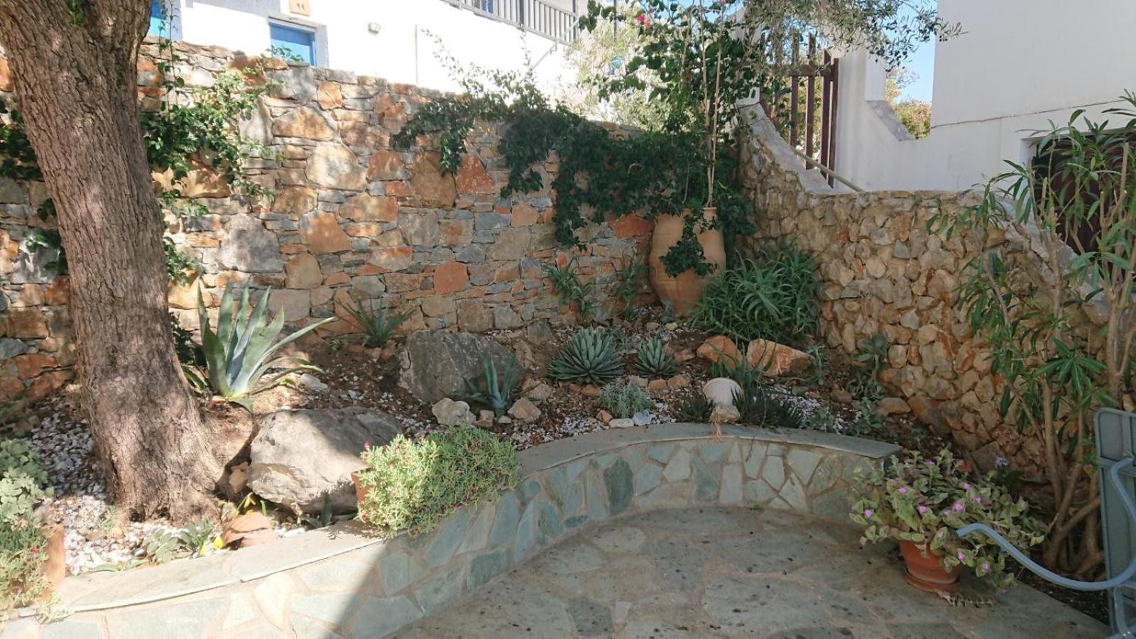 Olive Tree House *