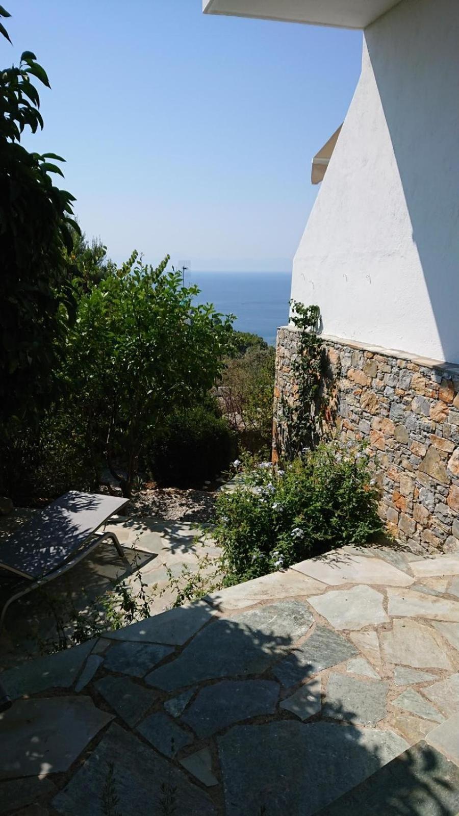 Olive Tree House Villa *