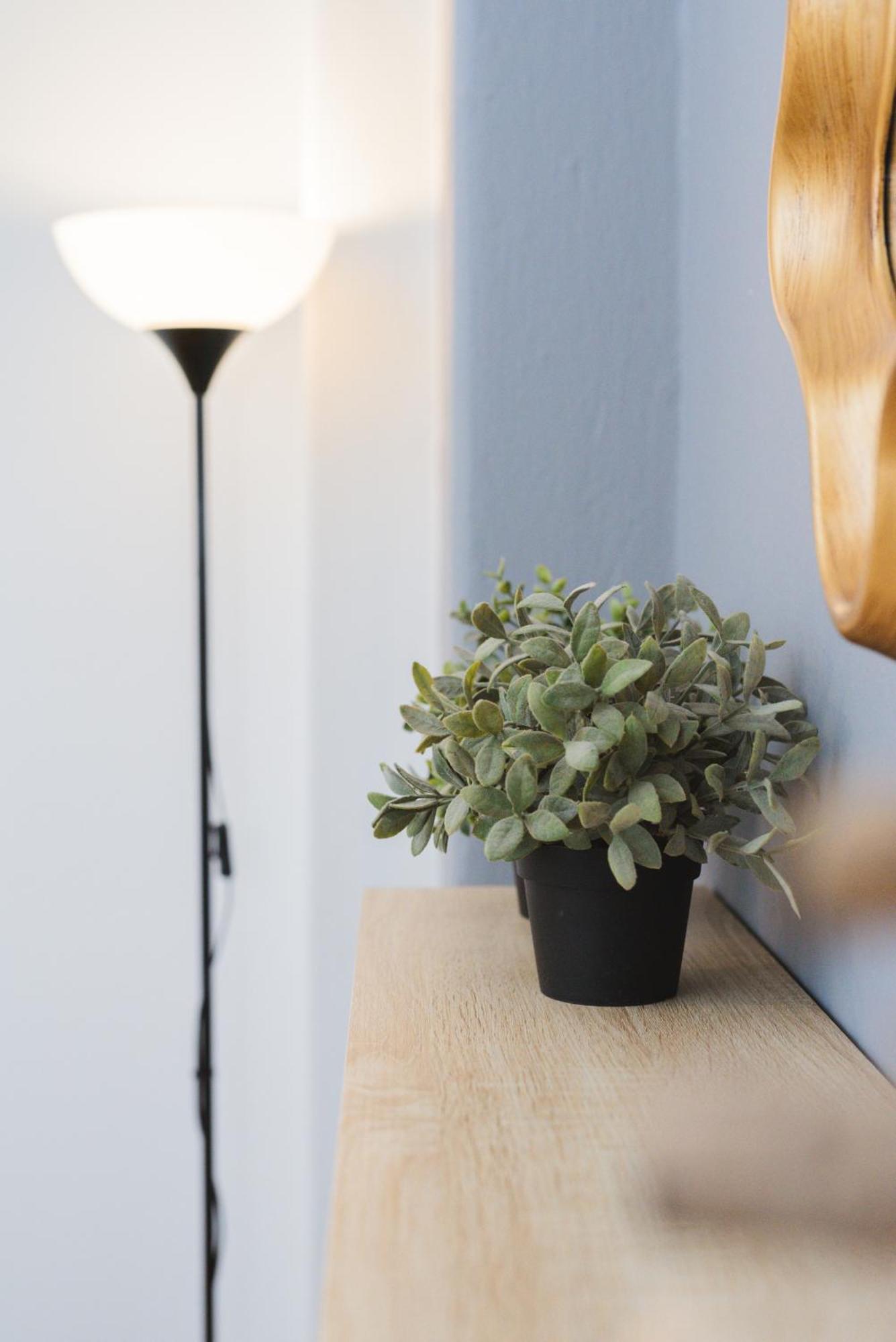 Apartment The Sapling By Nexus, 5 Min To White Tower *
