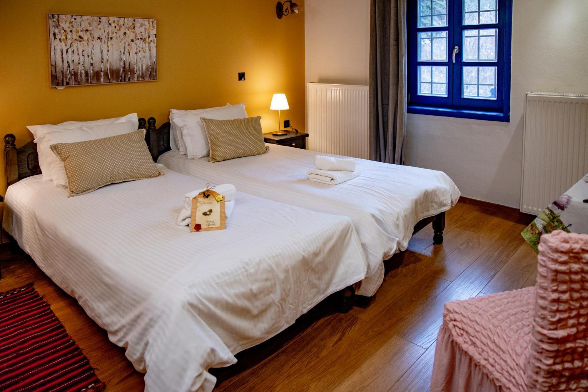 Hotel Arktouros Monodendri
