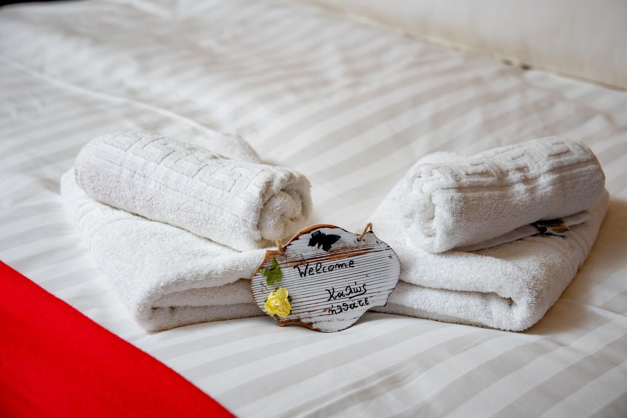 Hotel Arktouros Monodendri