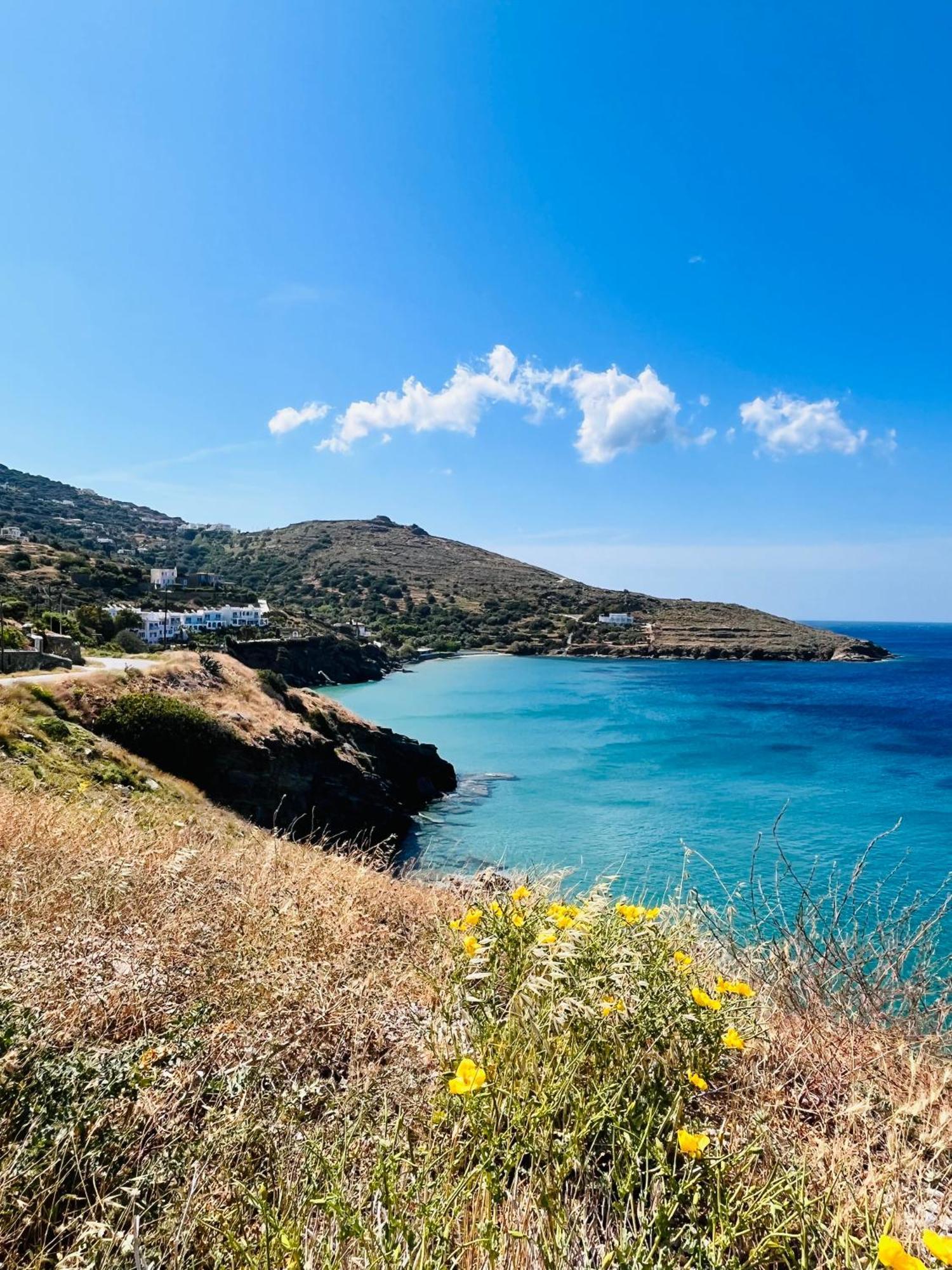 Holiday home Thalassa, Beachfront, Private Pool & Sunset Views By Explore Andros