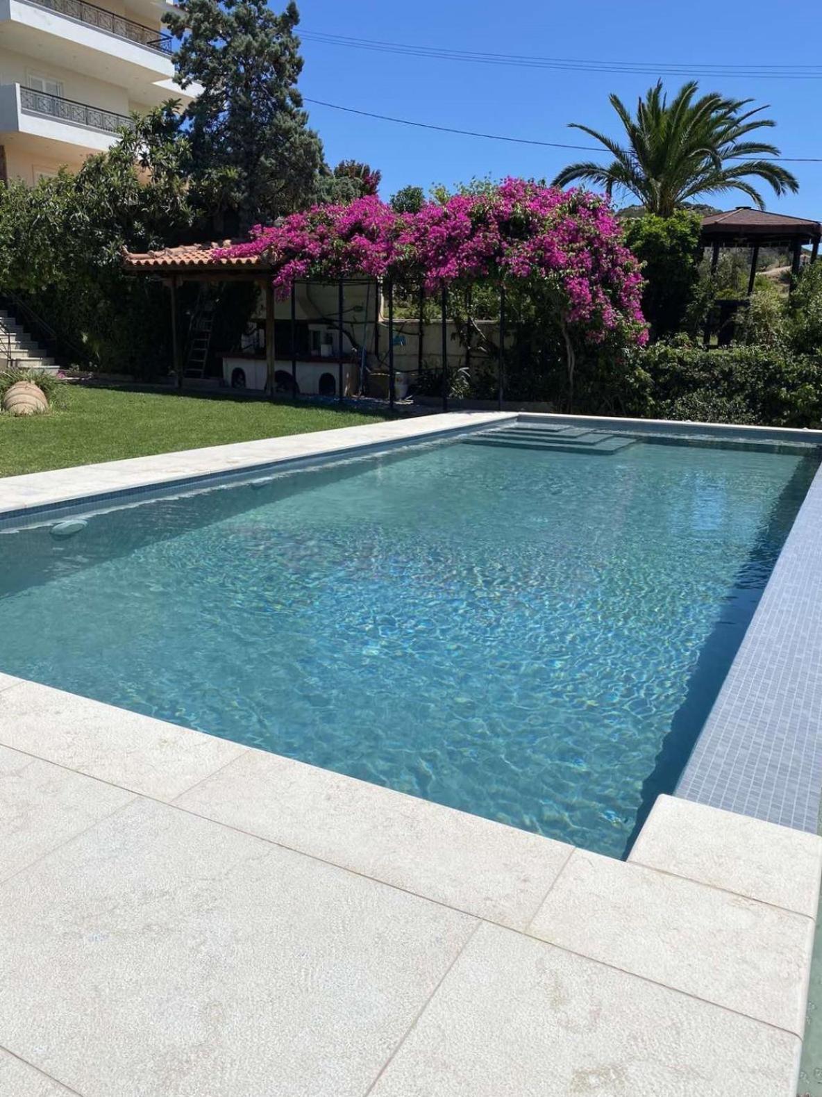 Leonidas Villa Anavyssos