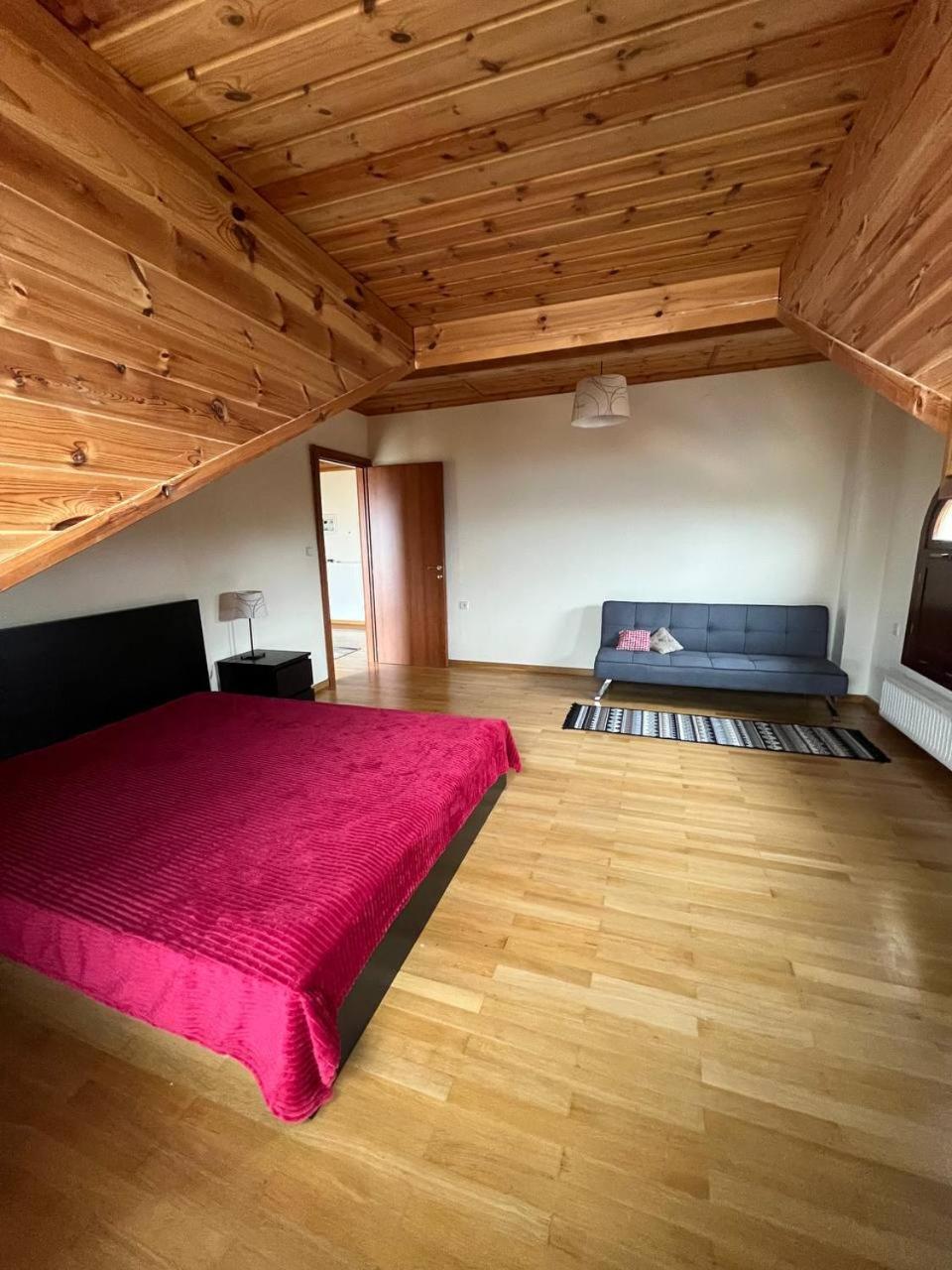 Anna Villa Leptokarya (Pieria)