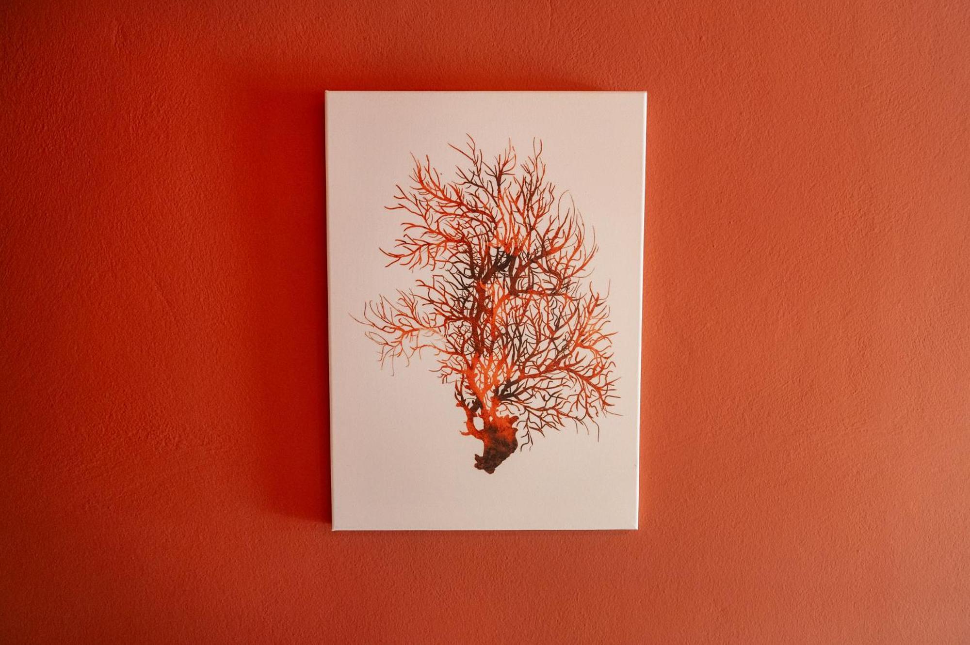 Coral