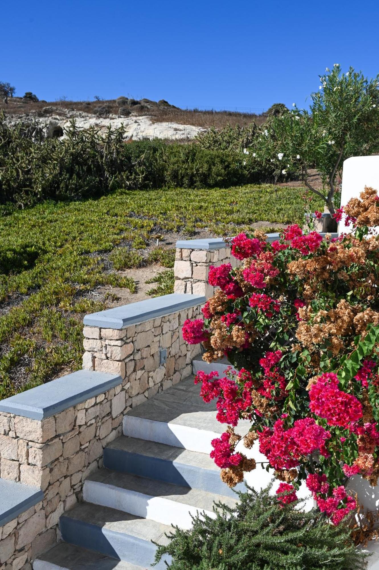 Asterias Boutique 3*