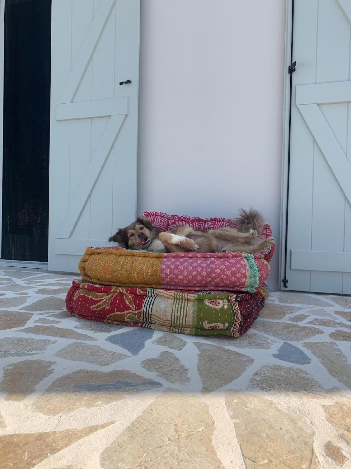 Villa Ionian Hideaway