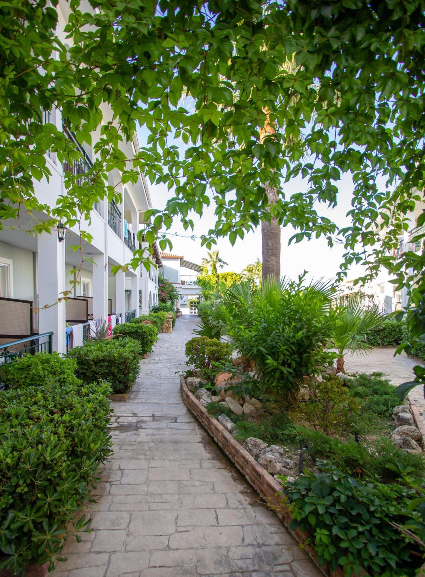 Hotel Sofia's Kalamaki (Zakynthos)