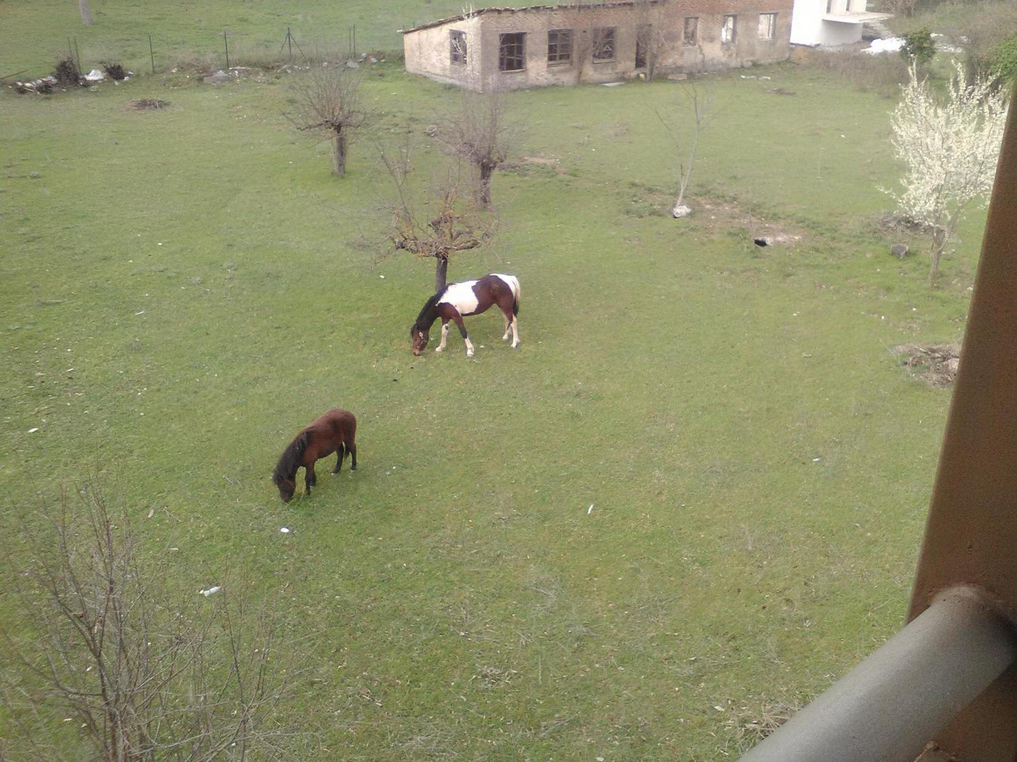 To Spiti Tis Irinis Vytina