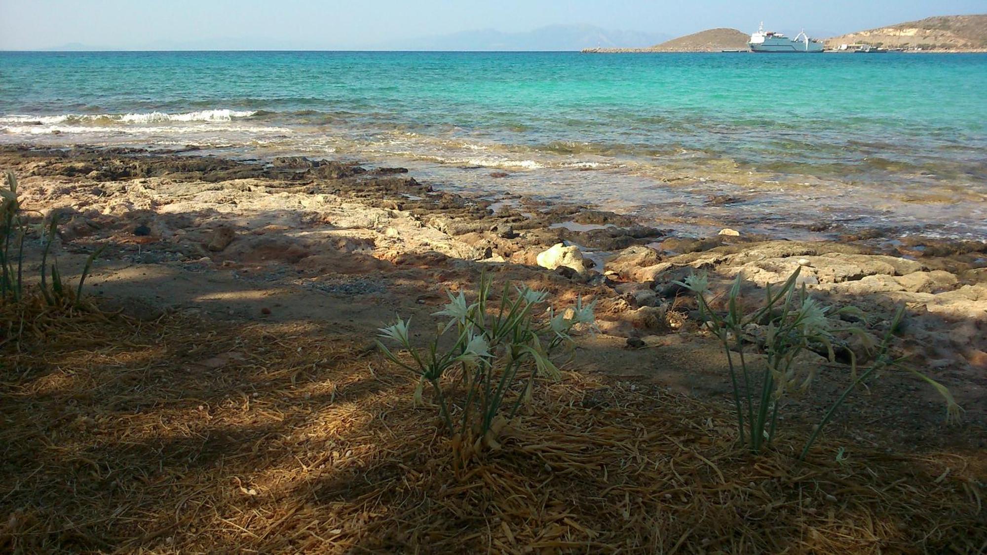 Astarte Sea