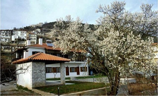 Amygdalies With Fireplace Karpenisi
