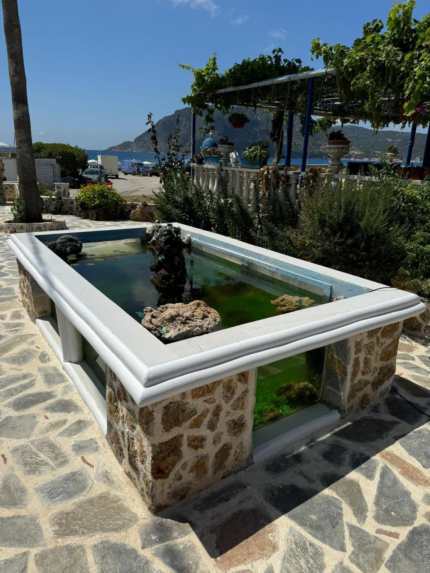 Savvas 2* Kefalos (Kos)