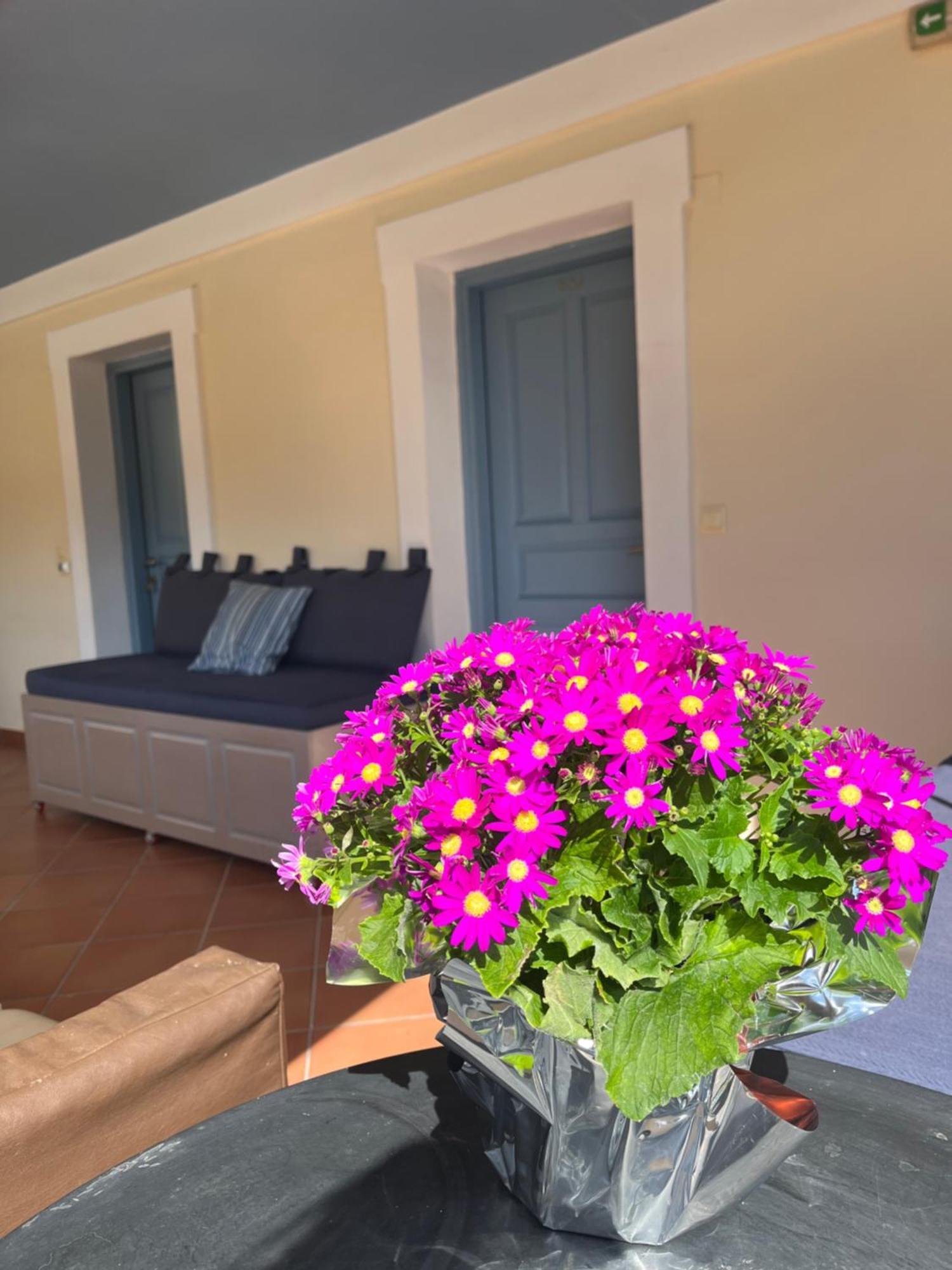 Aparthotel Mira Mare Hotel, Galaxidi