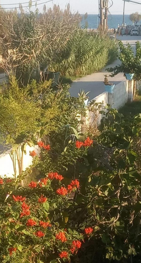 Apartment Zefiros By Sea Laganas