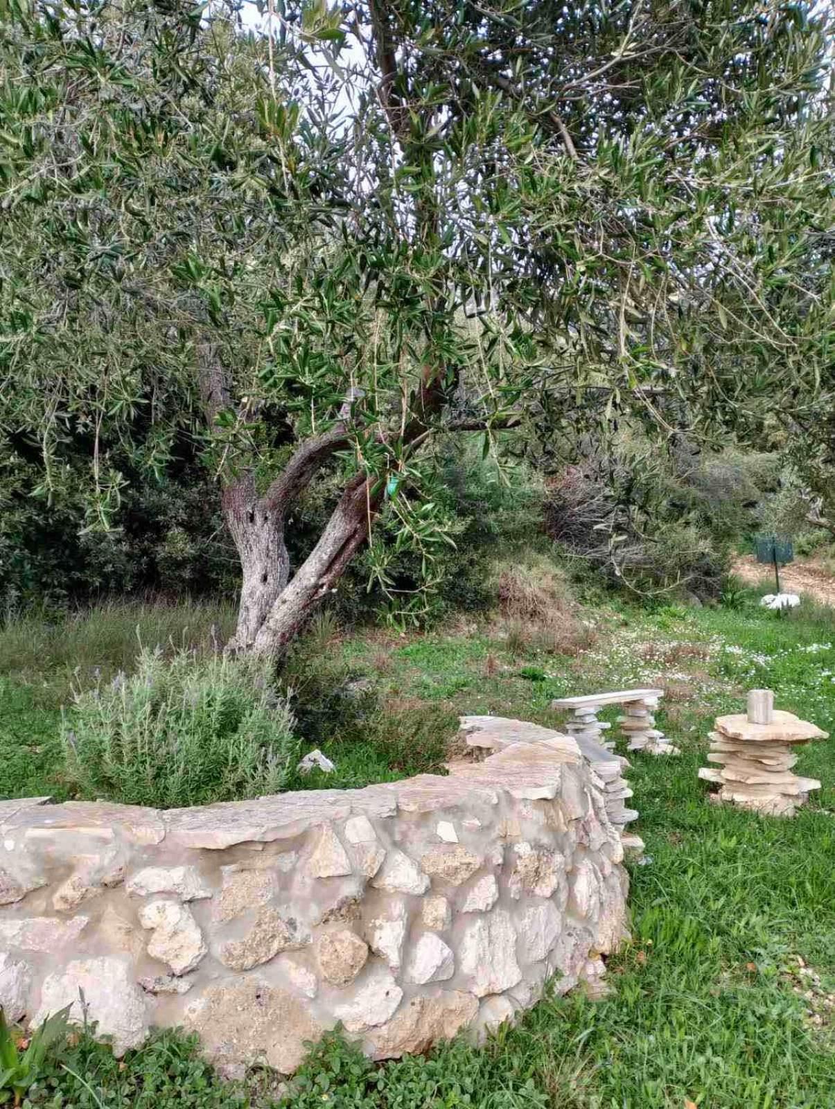 Campsite Terraoliva&herbs *