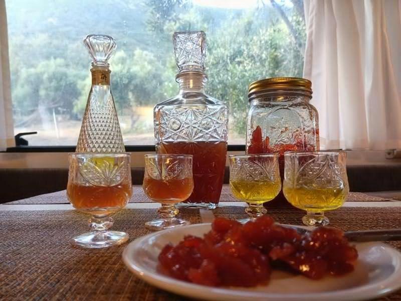 Terraoliva&herbs *